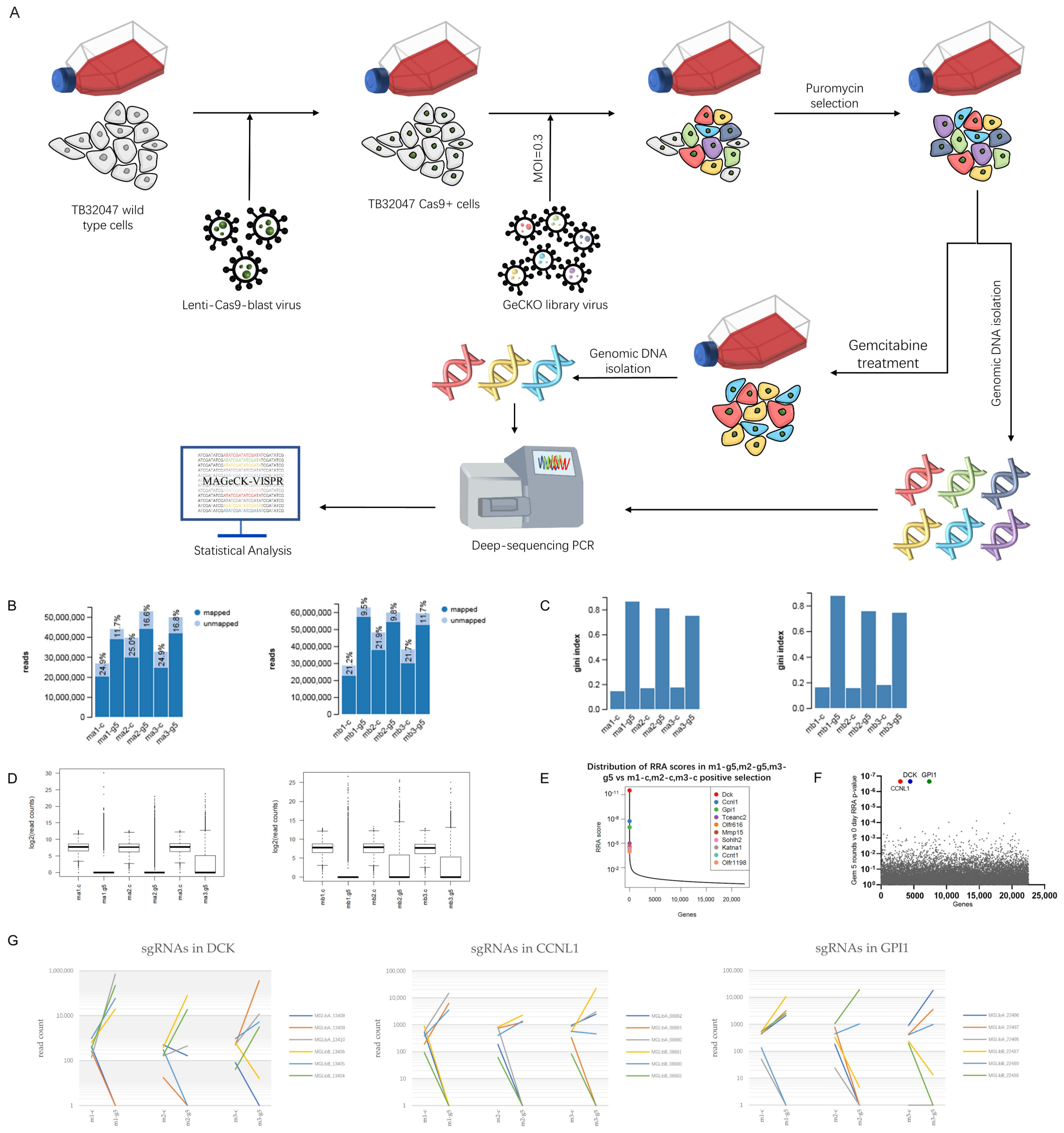 Cancers 14 03152 g001