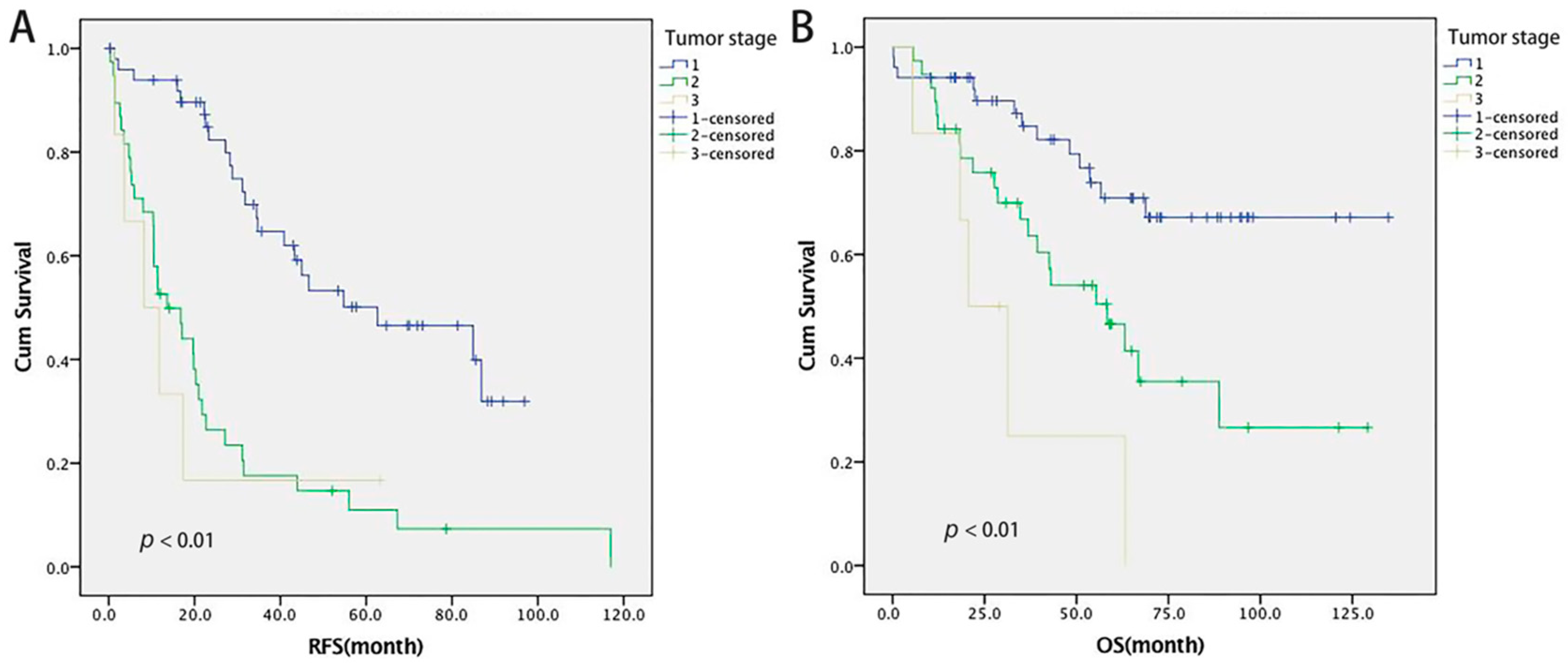 Cancers 14 03155 g001 Cancers 14 03155 g001
