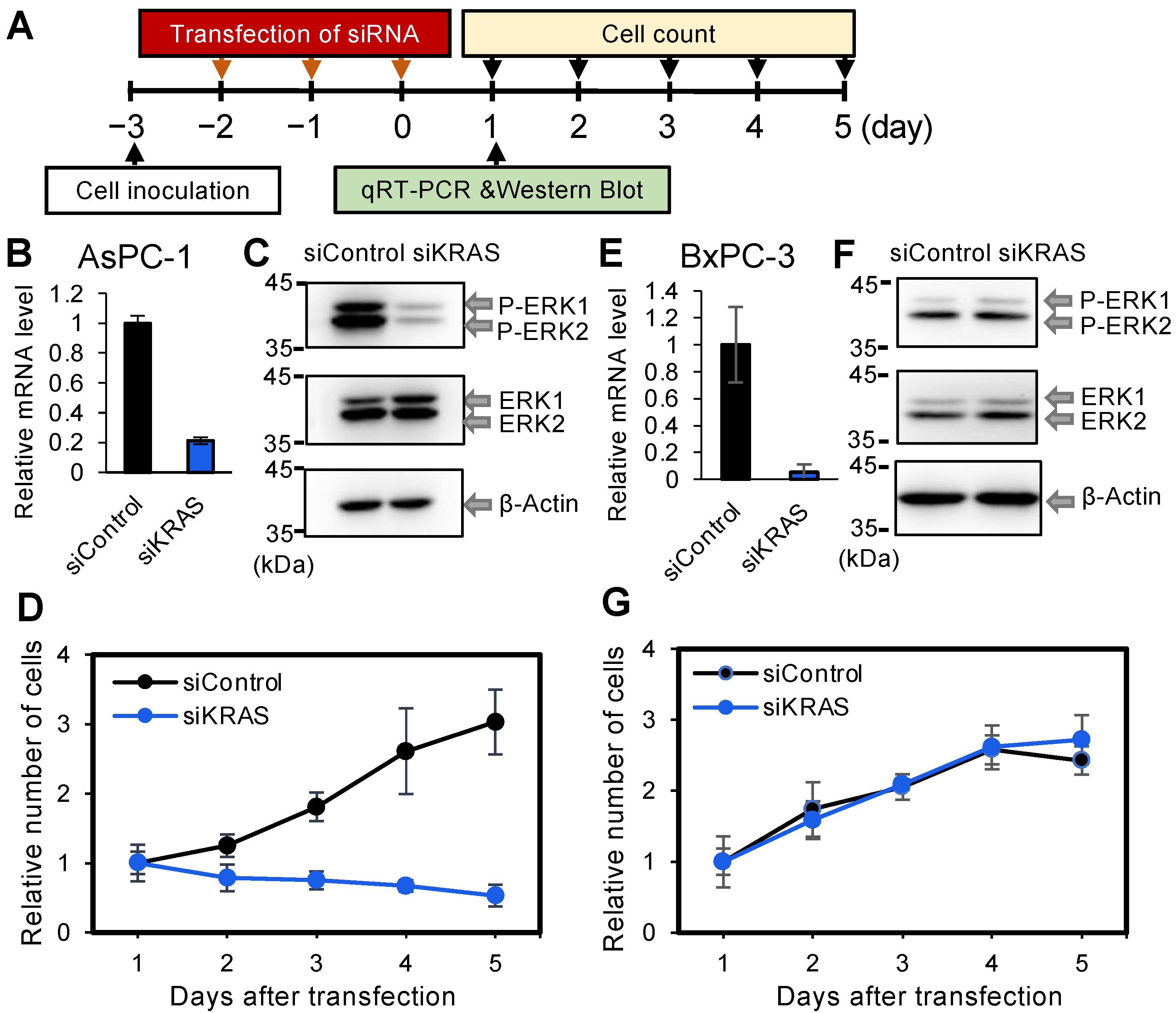 Cancers 14 03162 g001