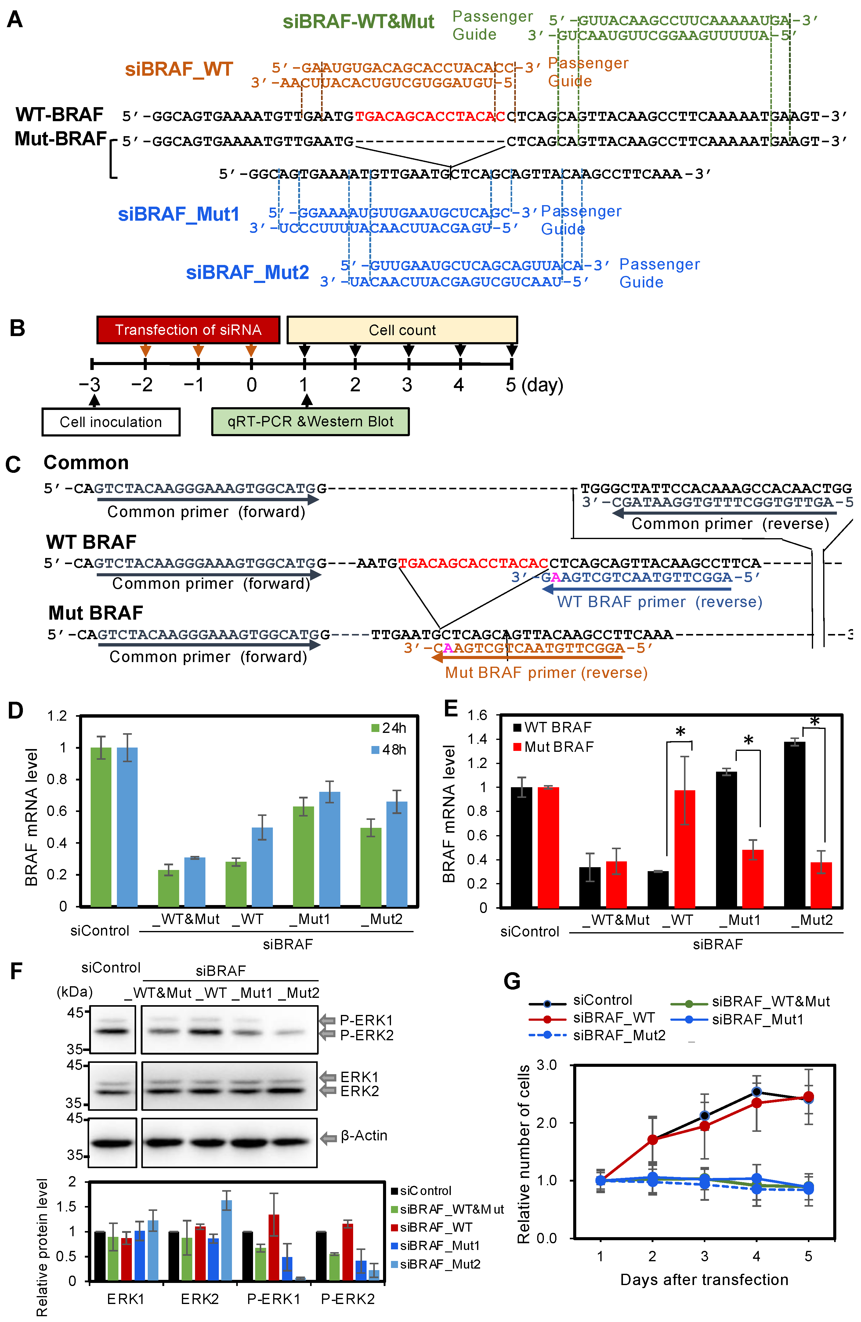 Cancers 14 03162 g002