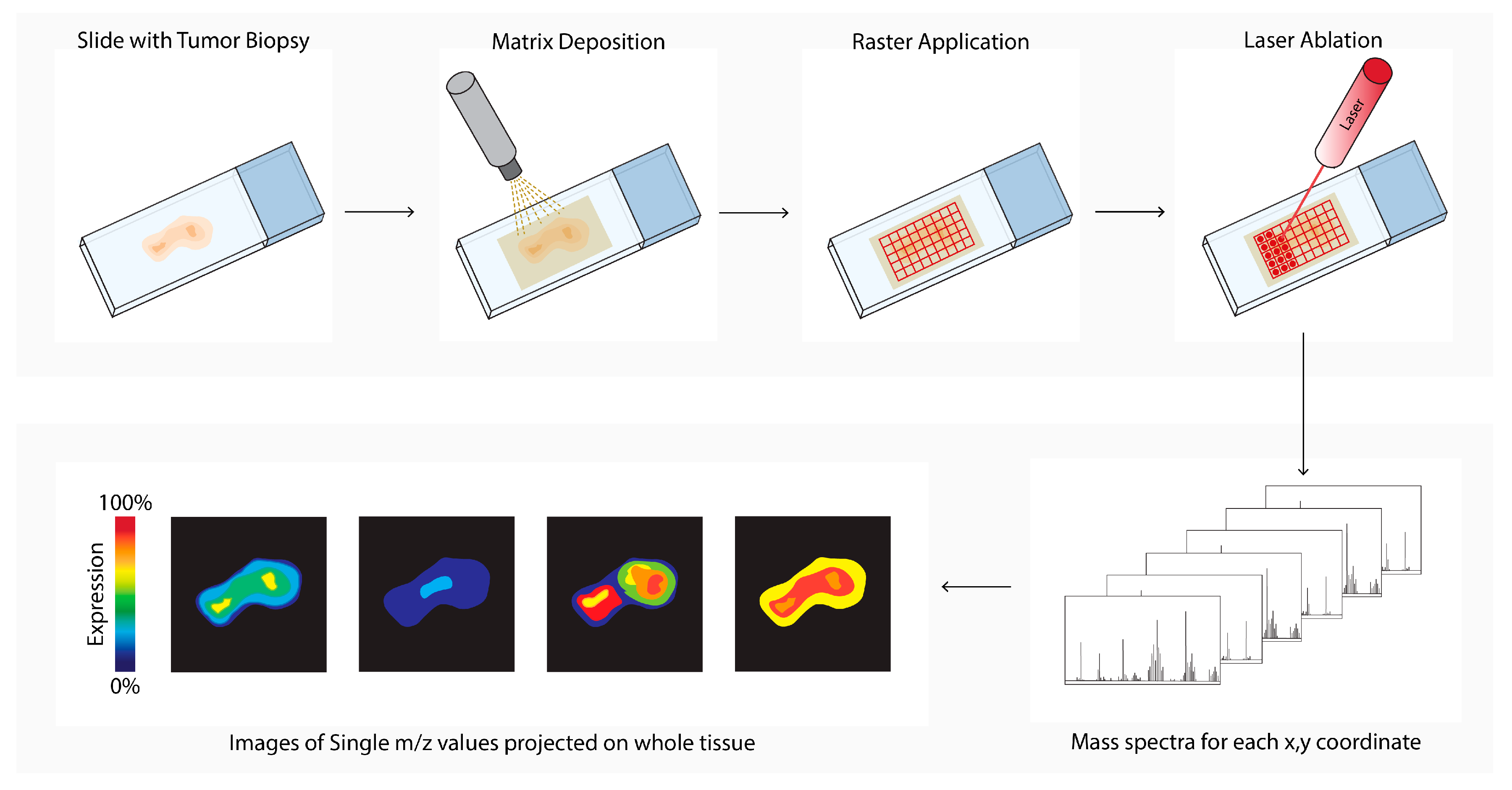 Cancers 14 03170 g006