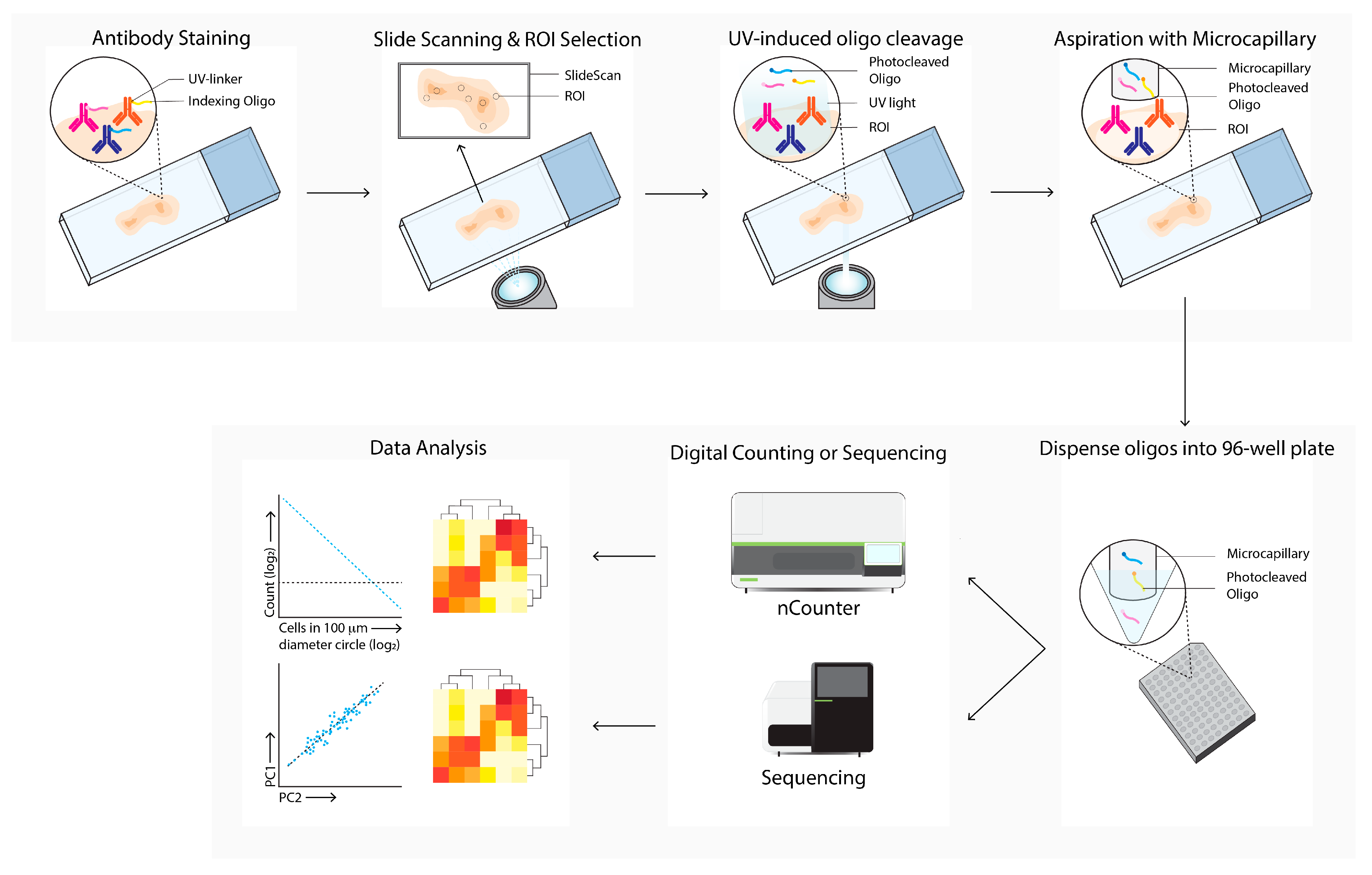 Cancers 14 03170 g007
