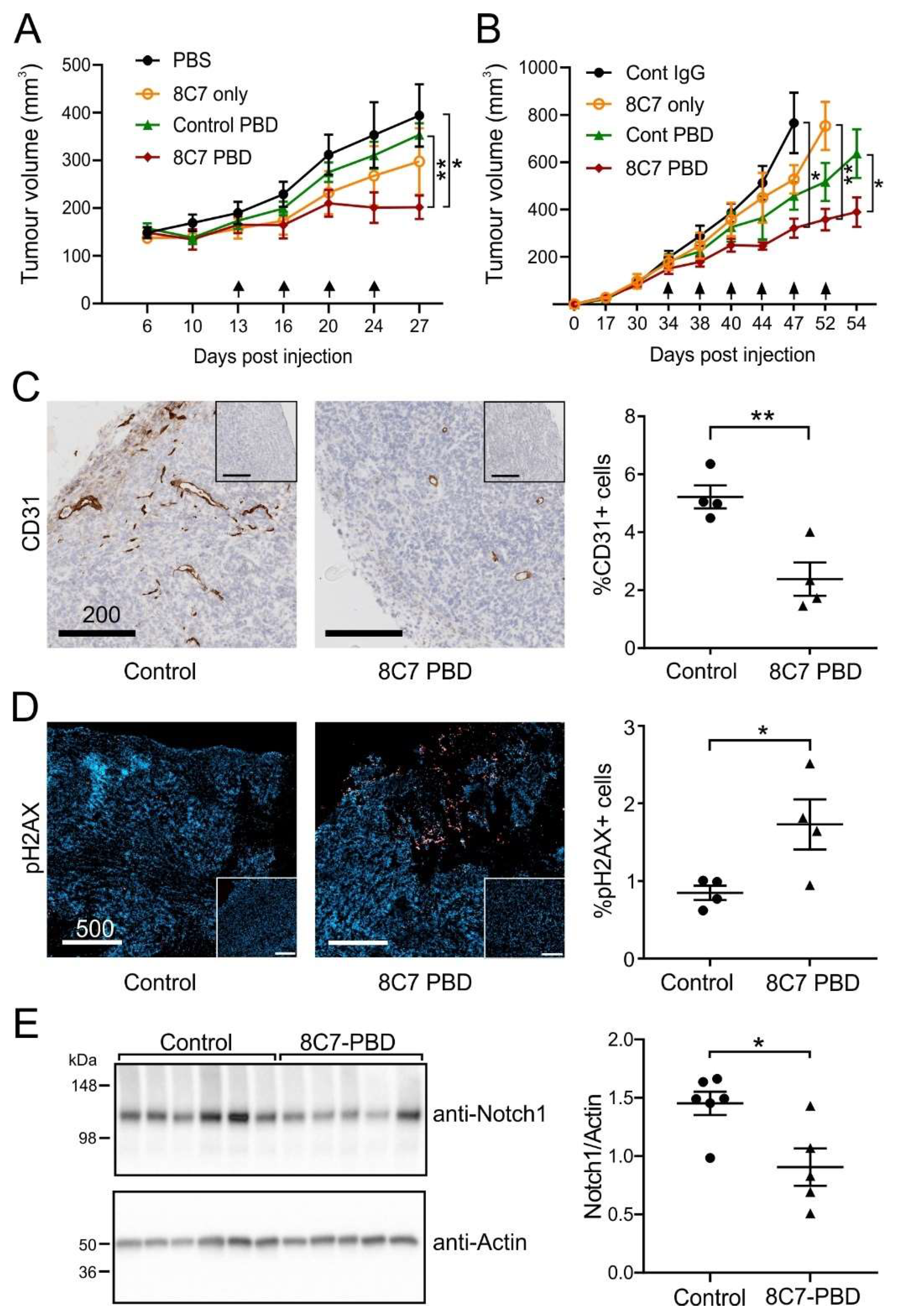 Cancers 14 03171 g005 550