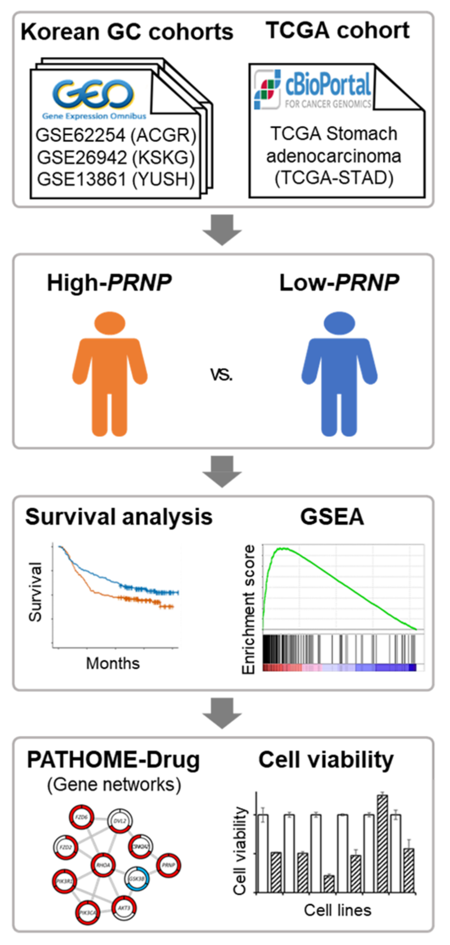 Cancers 14 03173 g001