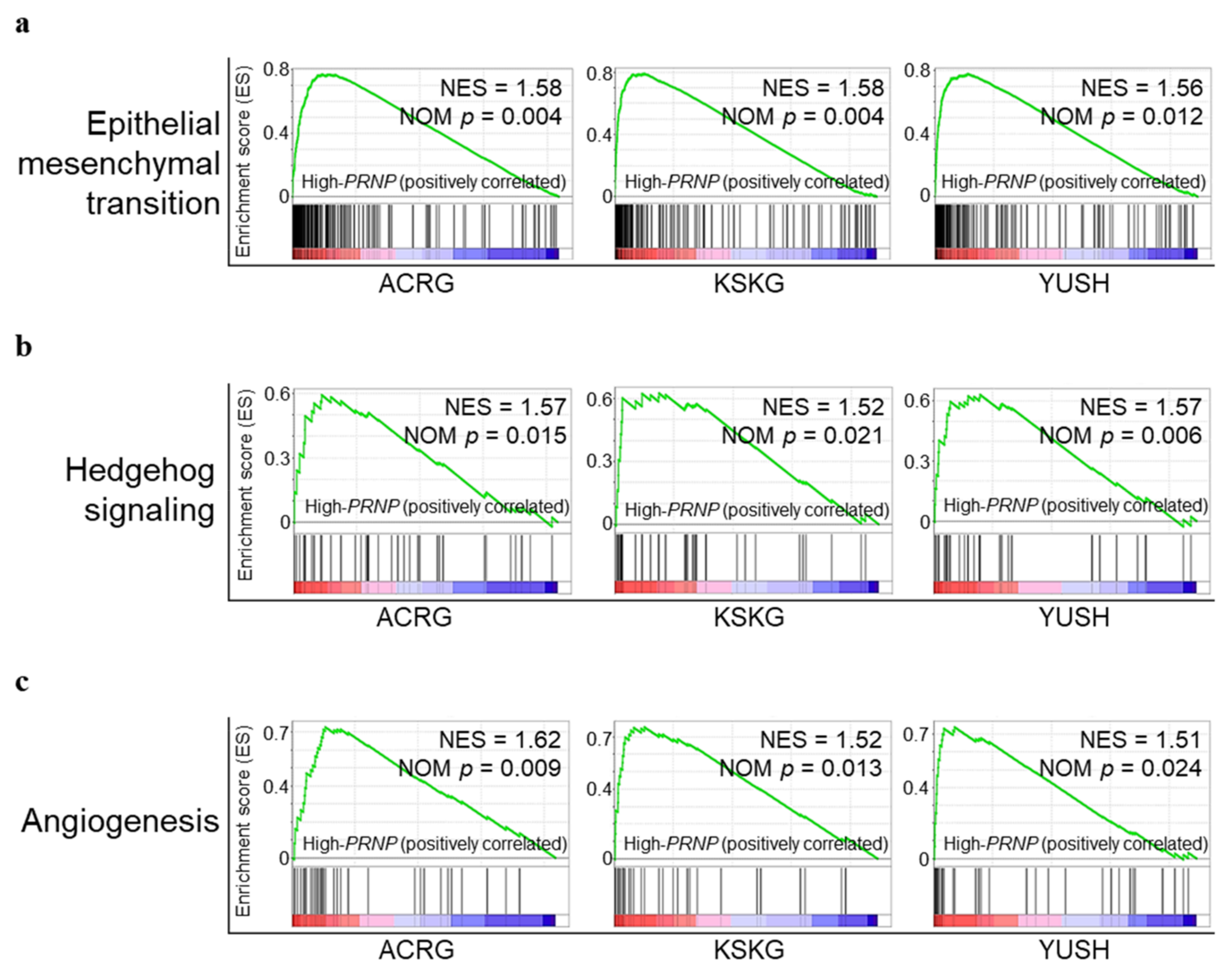Cancers 14 03173 g003