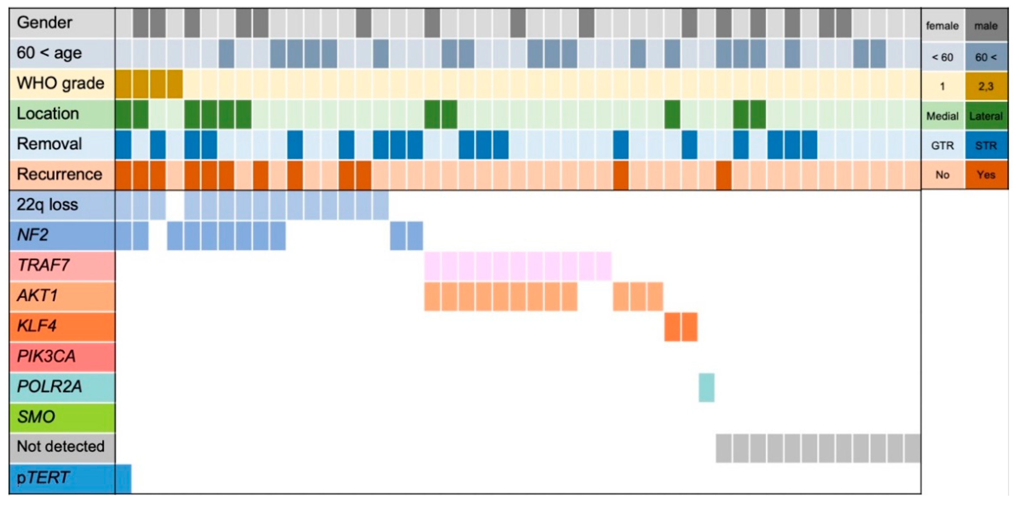 Cancers 14 03183 g001 550
