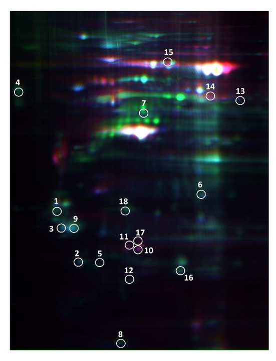 Cancers 14 03189 g001