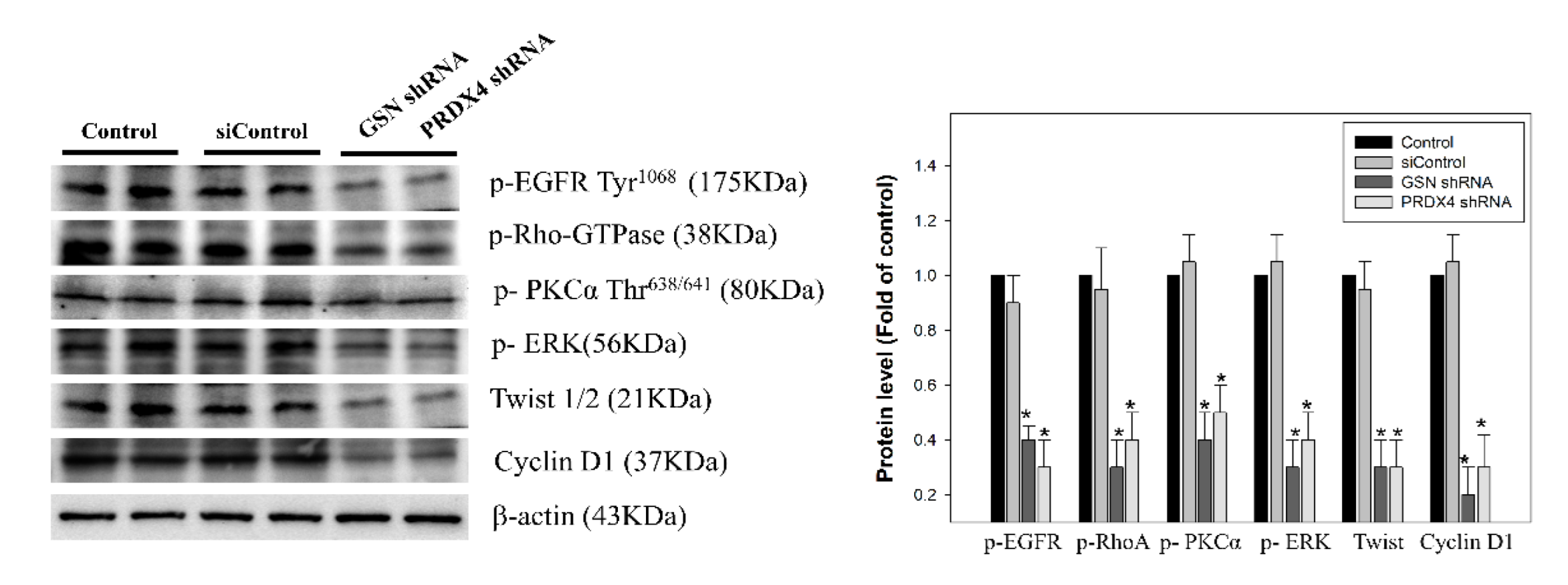 Cancers 14 03189 g007