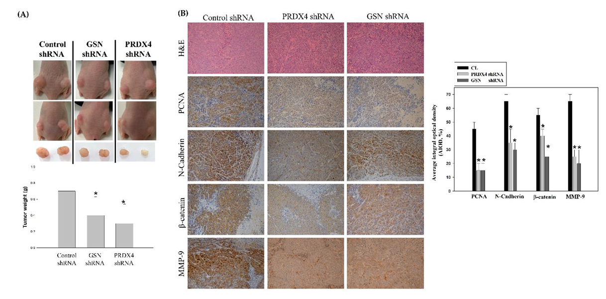 Cancers 14 03189 g008