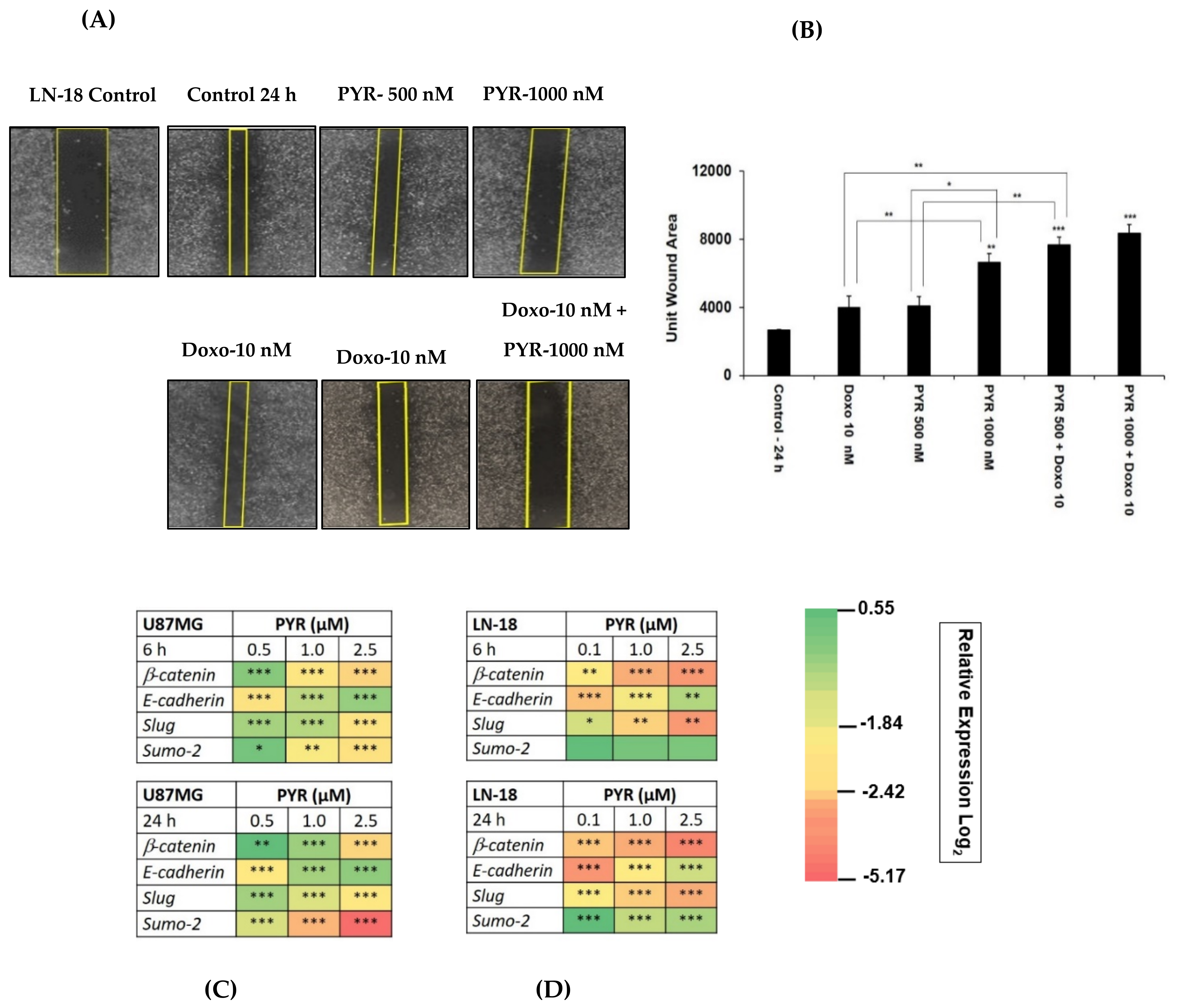 Cancers 14 03198 g005 550