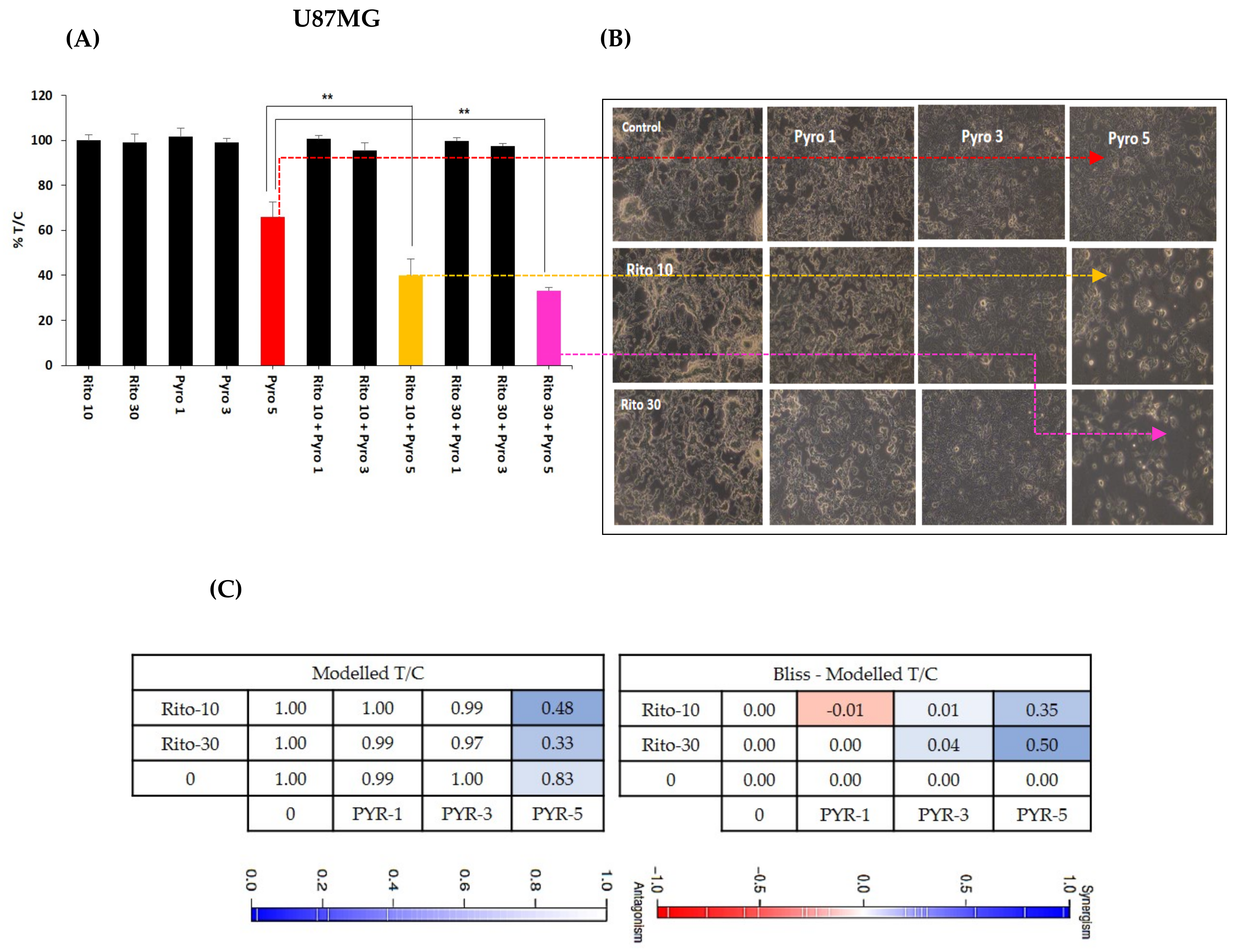 Cancers 14 03198 g006 550