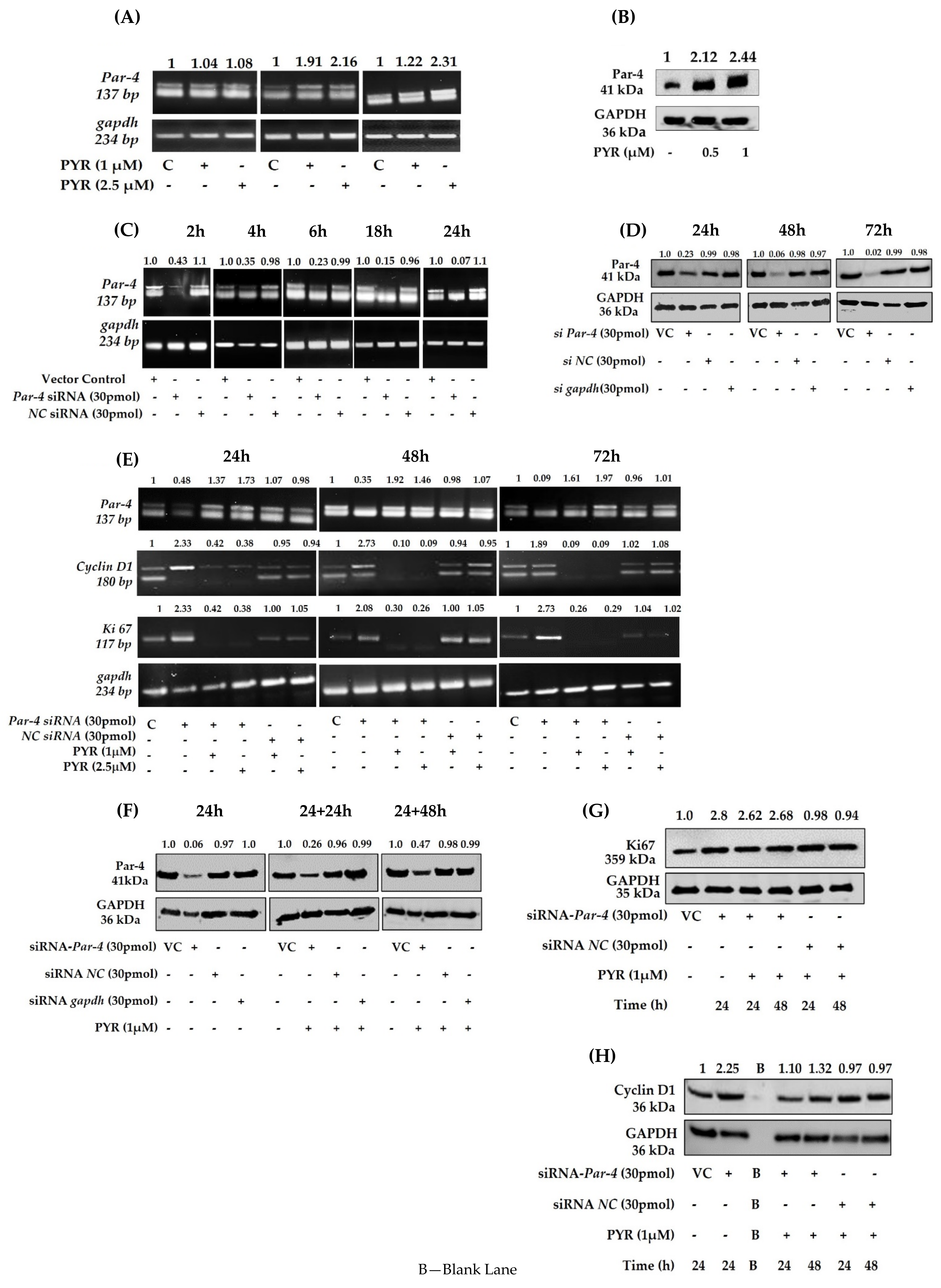 Cancers 14 03198 g007 550