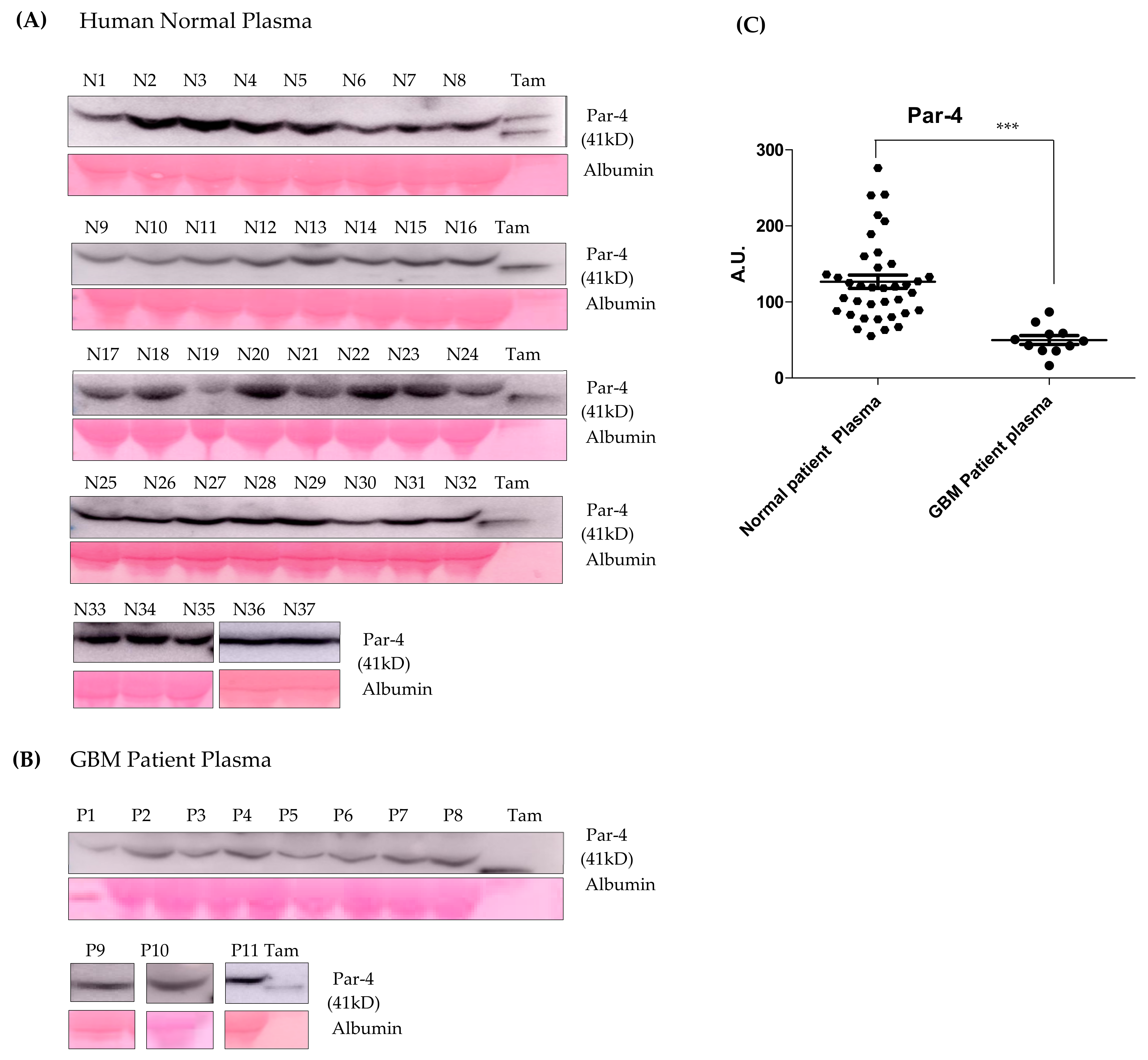 Cancers 14 03198 g009 550