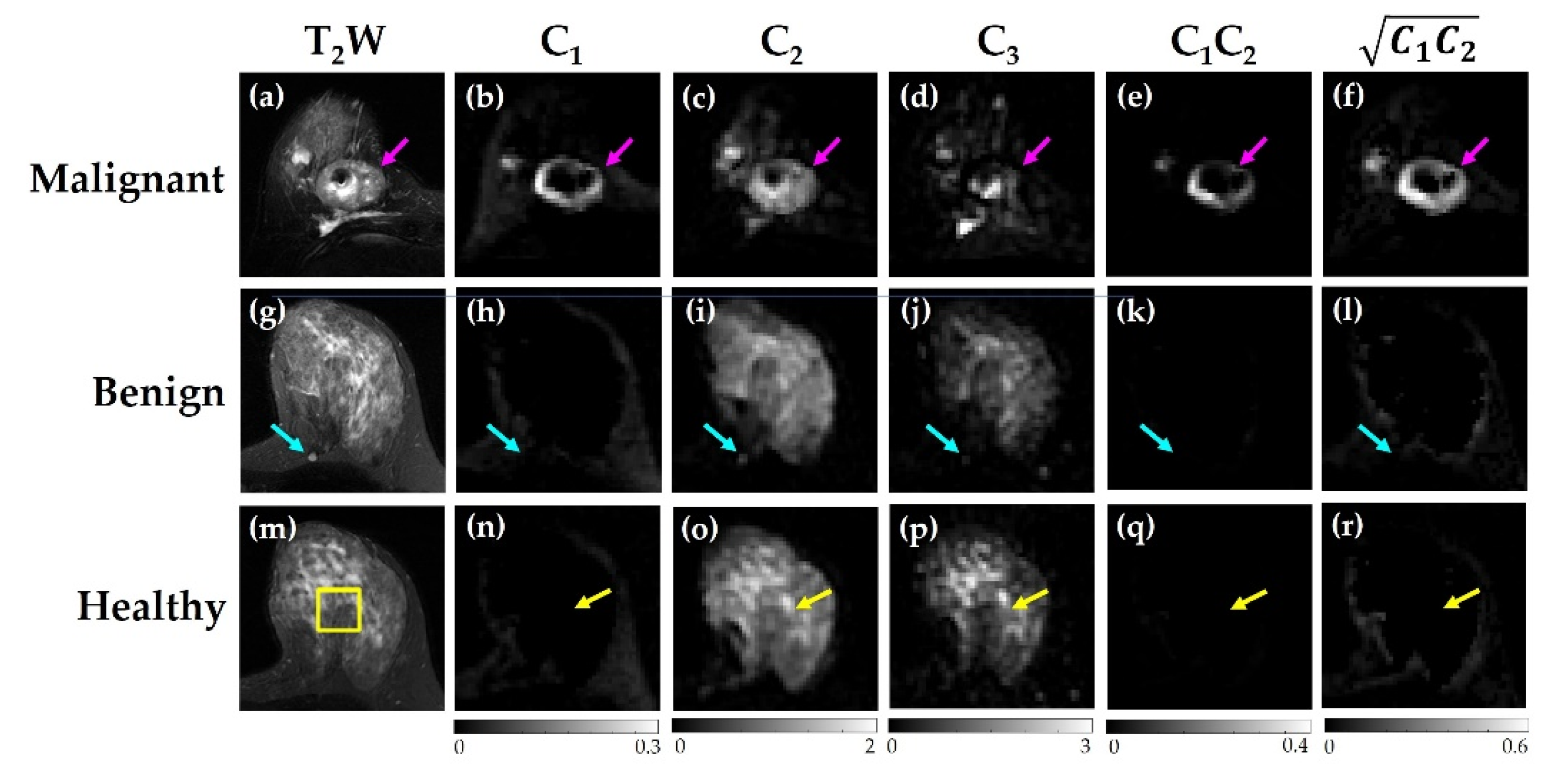 Cancers 14 03200 g004