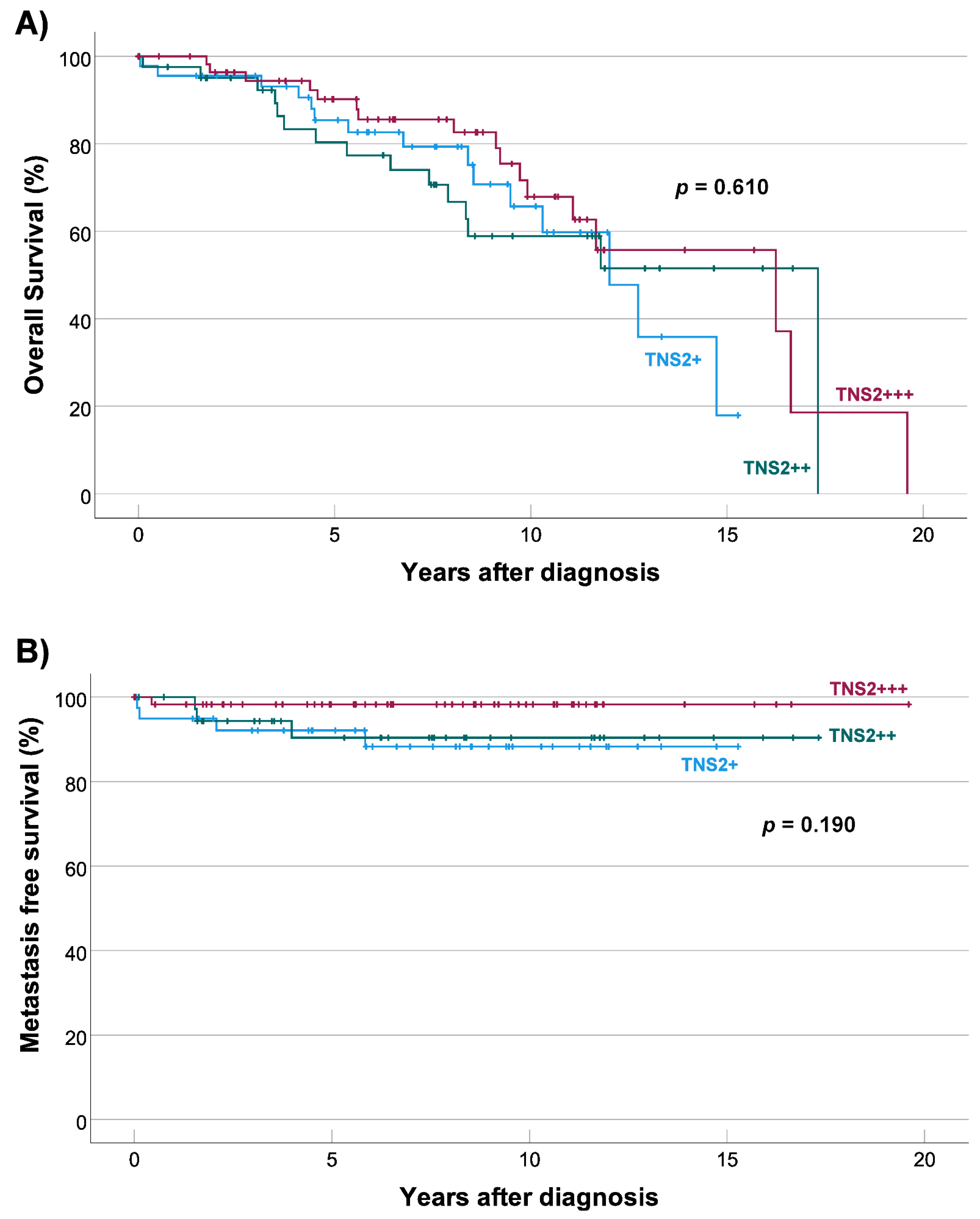 Cancers 14 03212 g004