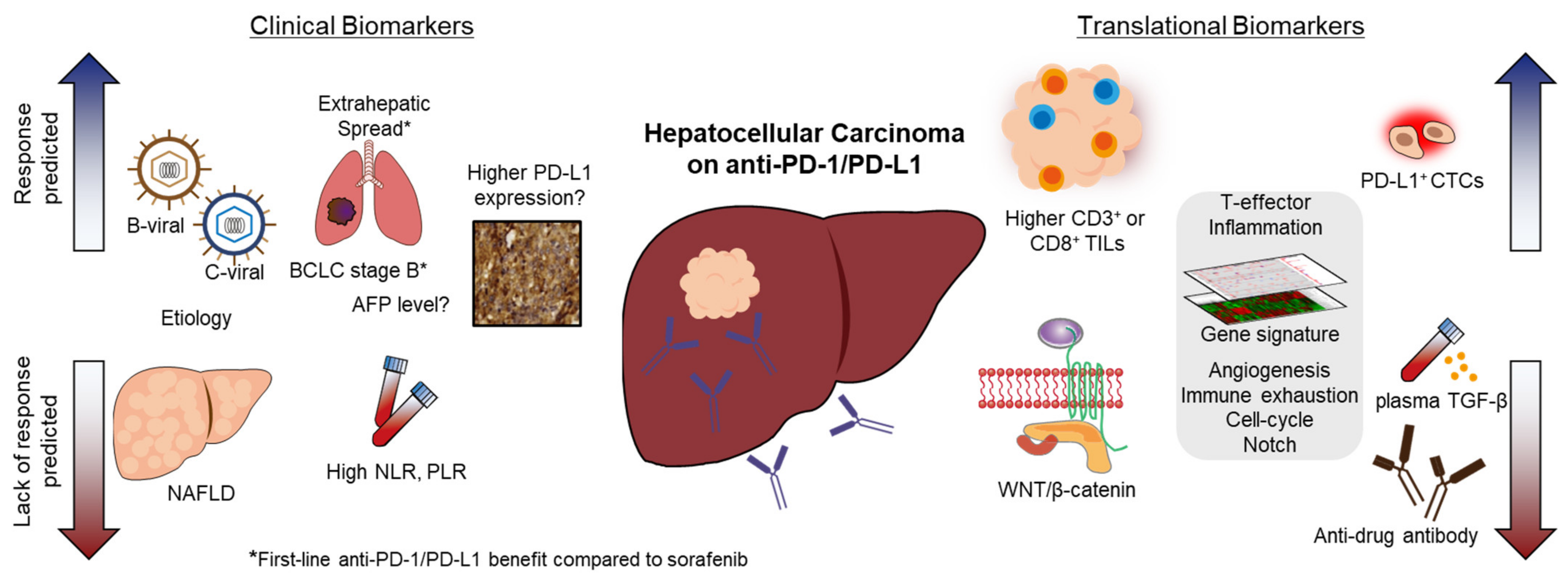 Cancers 14 03213 g001 550