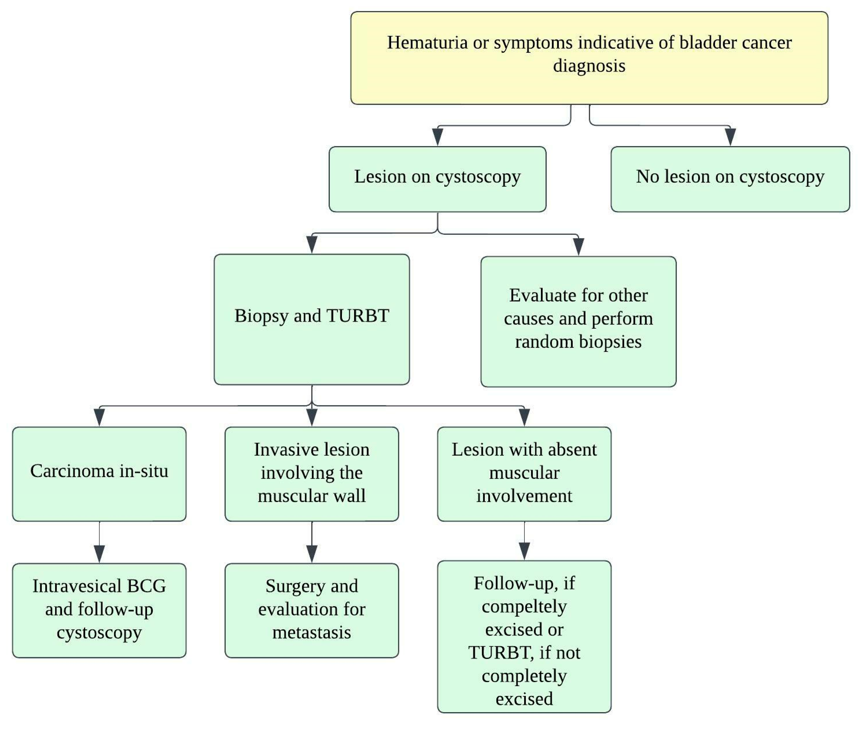 Cancers 14 03218 g012 Cancers 14 03218 g012