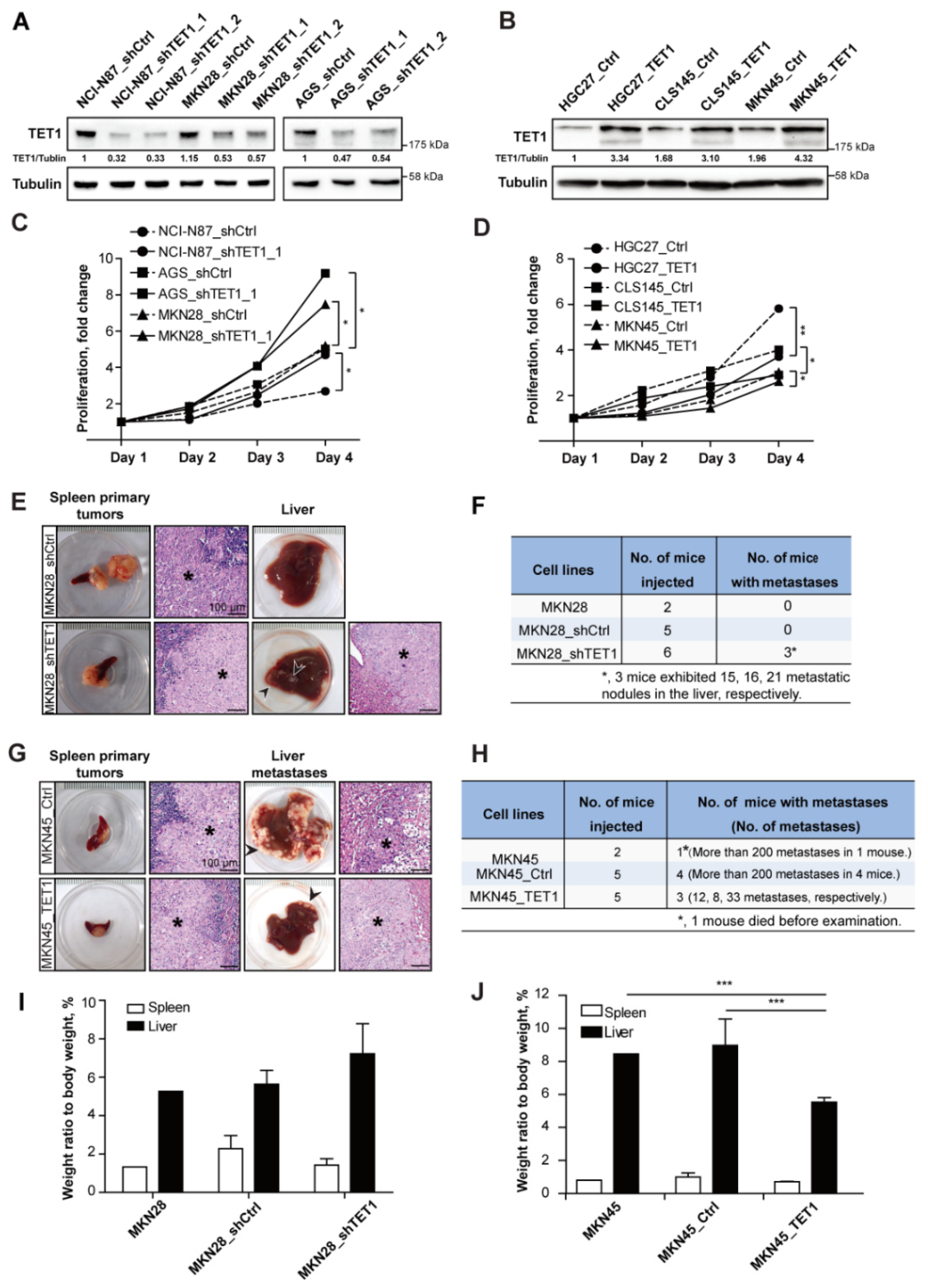 Cancers 14 03232 g002 Cancers 14 03232 g002