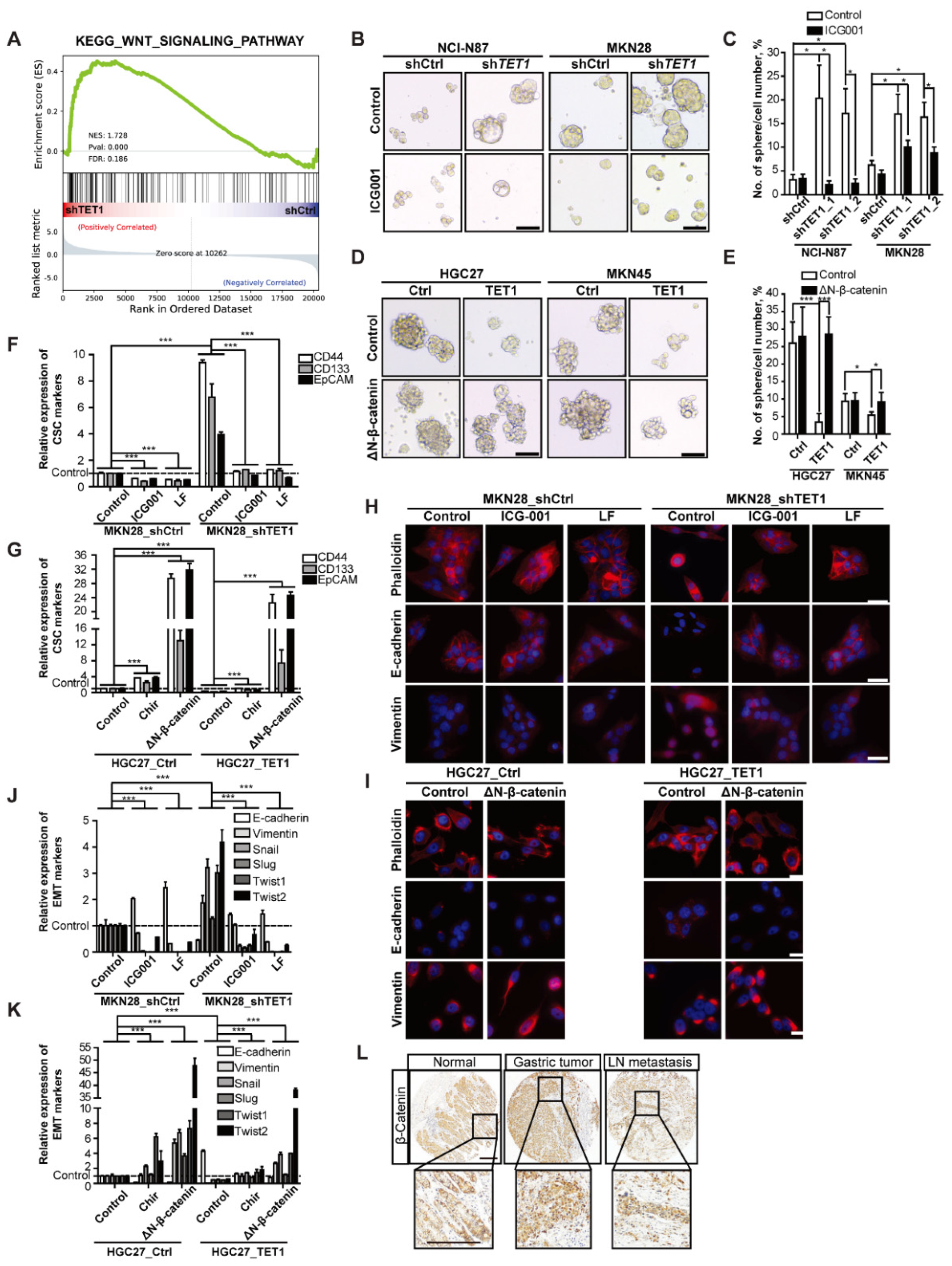Cancers 14 03232 g004 Cancers 14 03232 g004