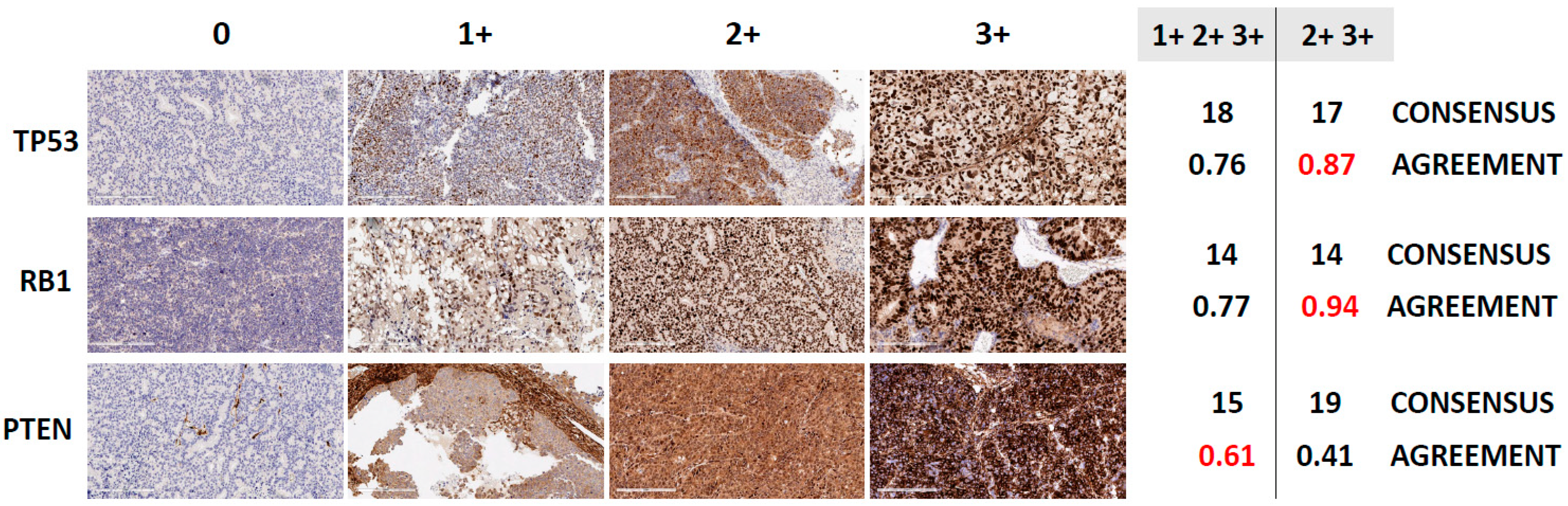 Cancers 14 03233 g002