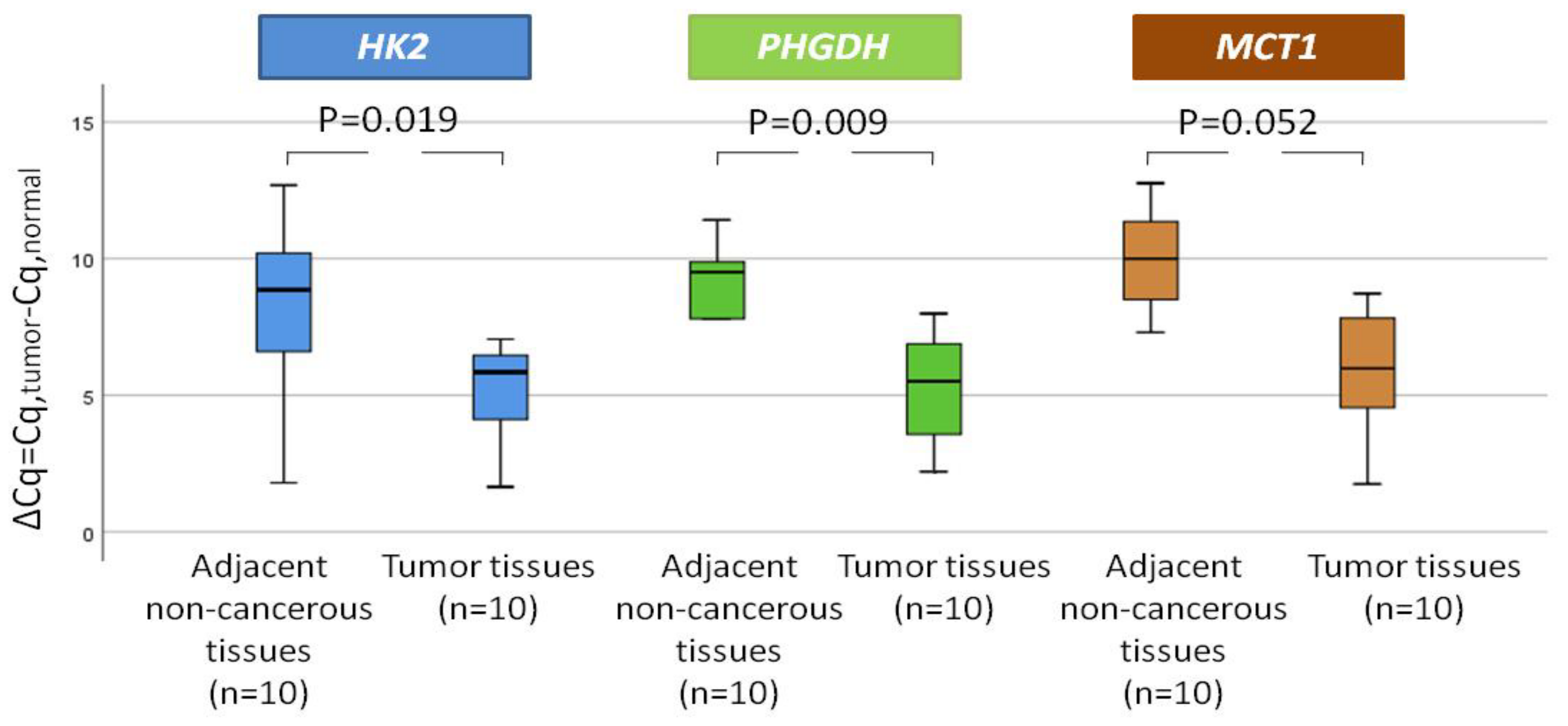 Cancers 14 03237 g002 Cancers 14 03237 g002