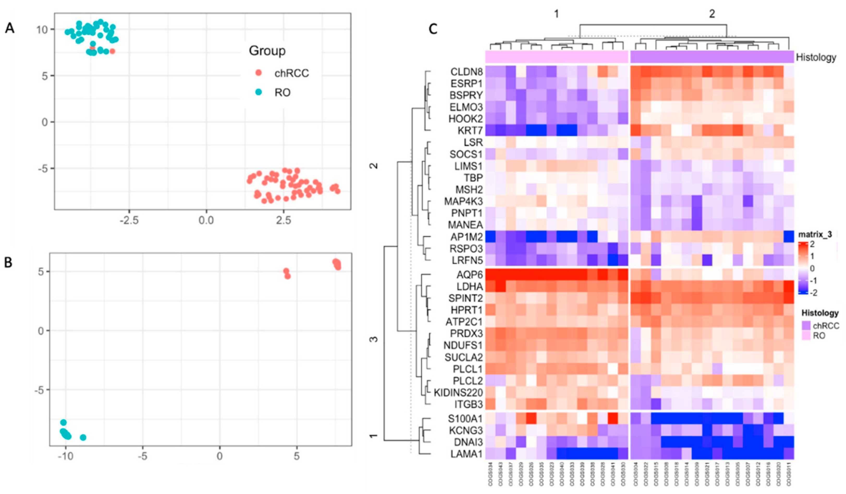 Cancers 14 03242 g002