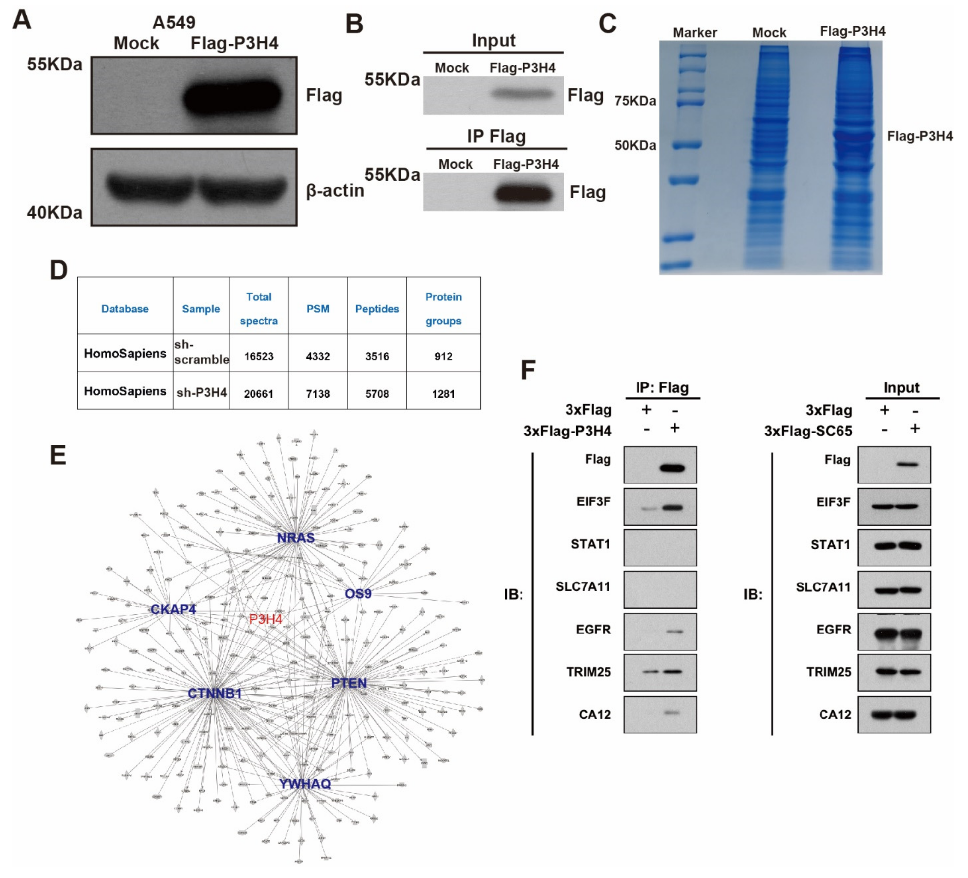 Cancers 14 03243 g004 Cancers 14 03243 g004