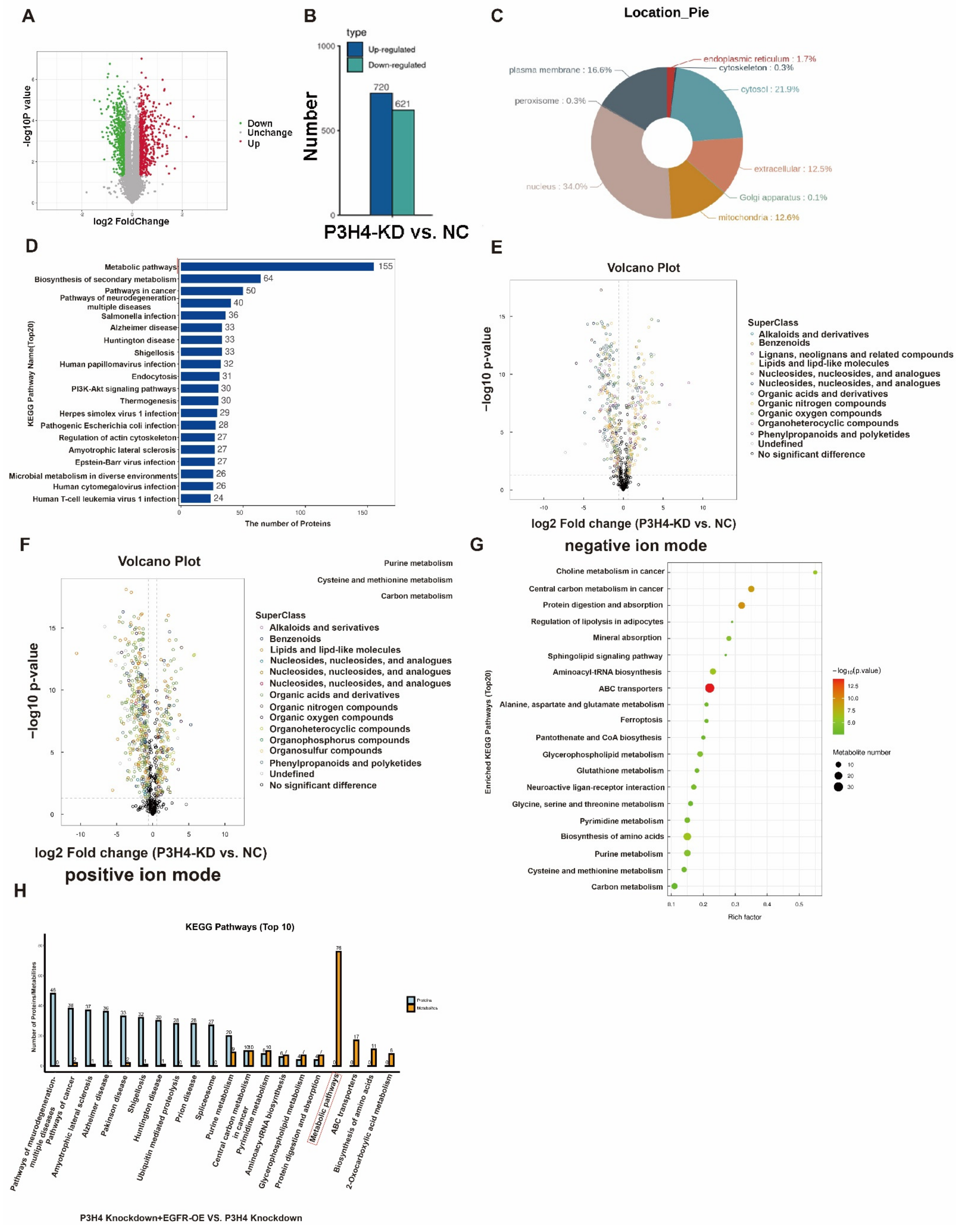 Cancers 14 03243 g006 Cancers 14 03243 g006