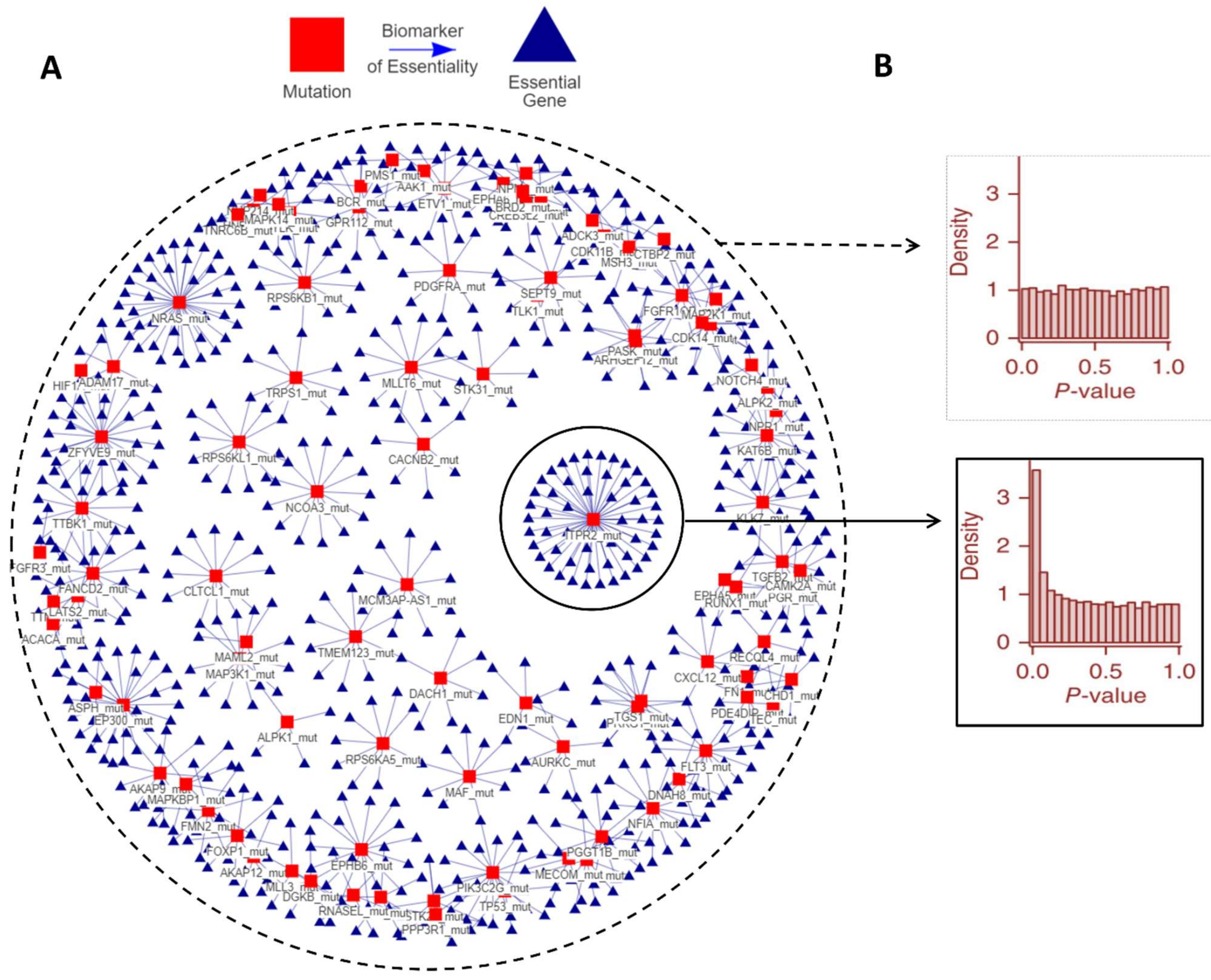 Cancers 14 03251 g001