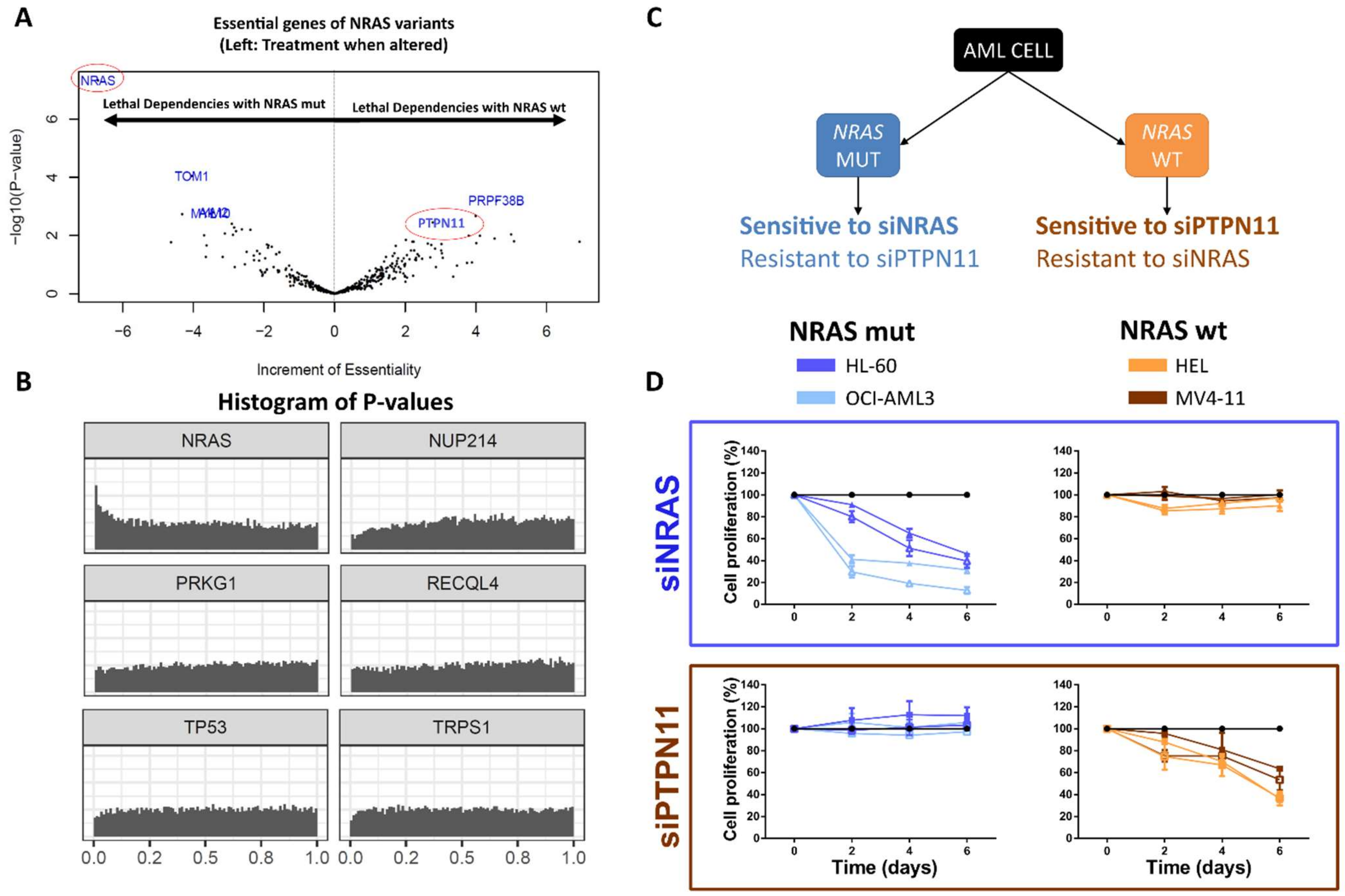 Cancers 14 03251 g004