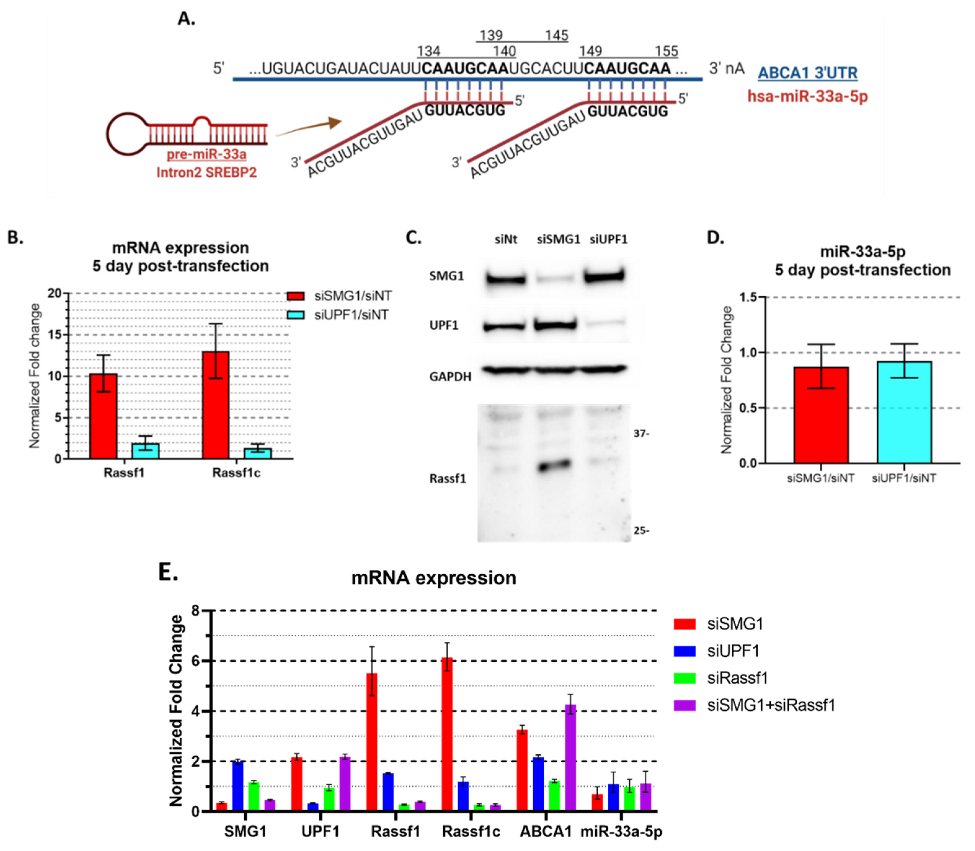 Cancers 14 03255 g004 Cancers 14 03255 g004