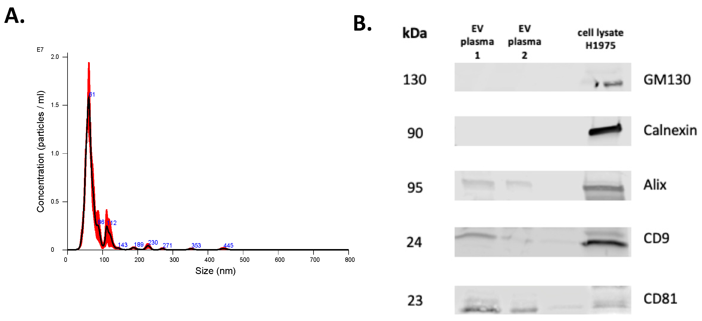 Cancers 14 03258 g005