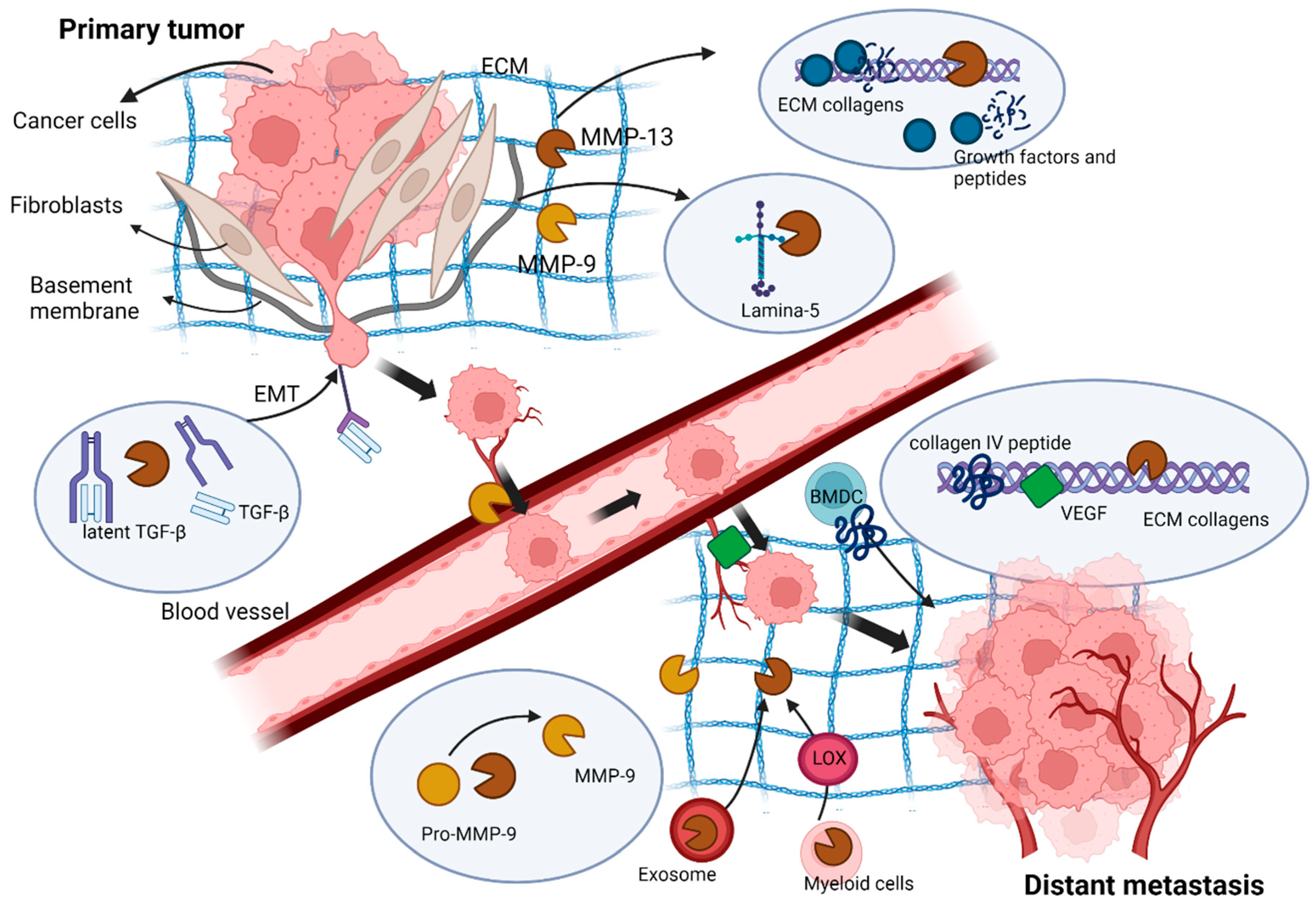 Cancers 14 03263 g003 Cancers 14 03263 g003