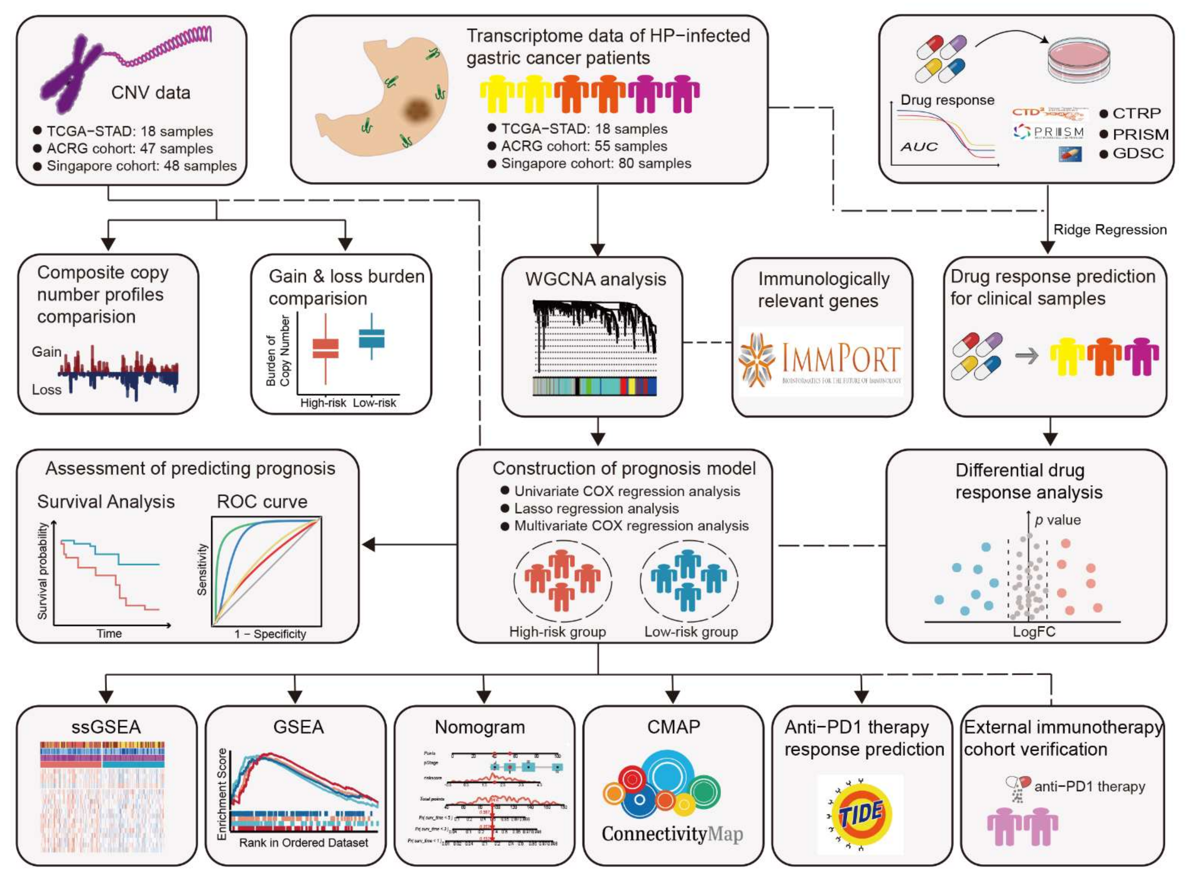 Cancers 14 03276 g001 Cancers 14 03276 g001