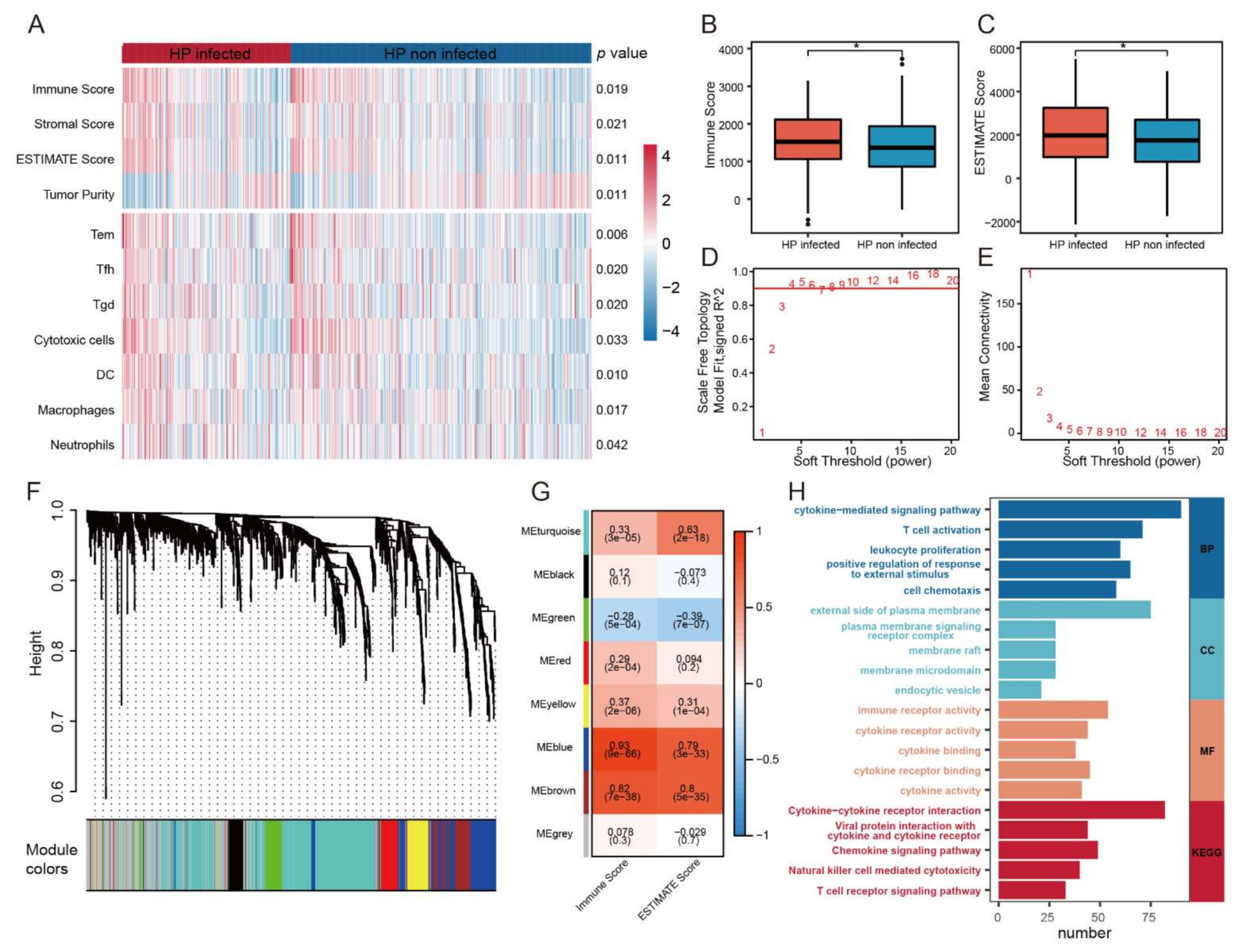 Cancers 14 03276 g002 Cancers 14 03276 g002