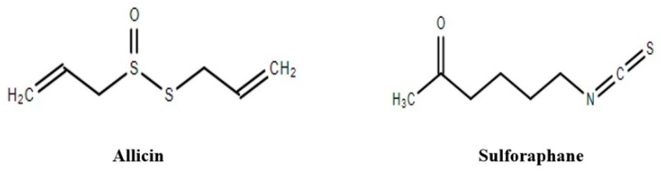 Cancers 14 03278 g005 Cancers 14 03278 g005