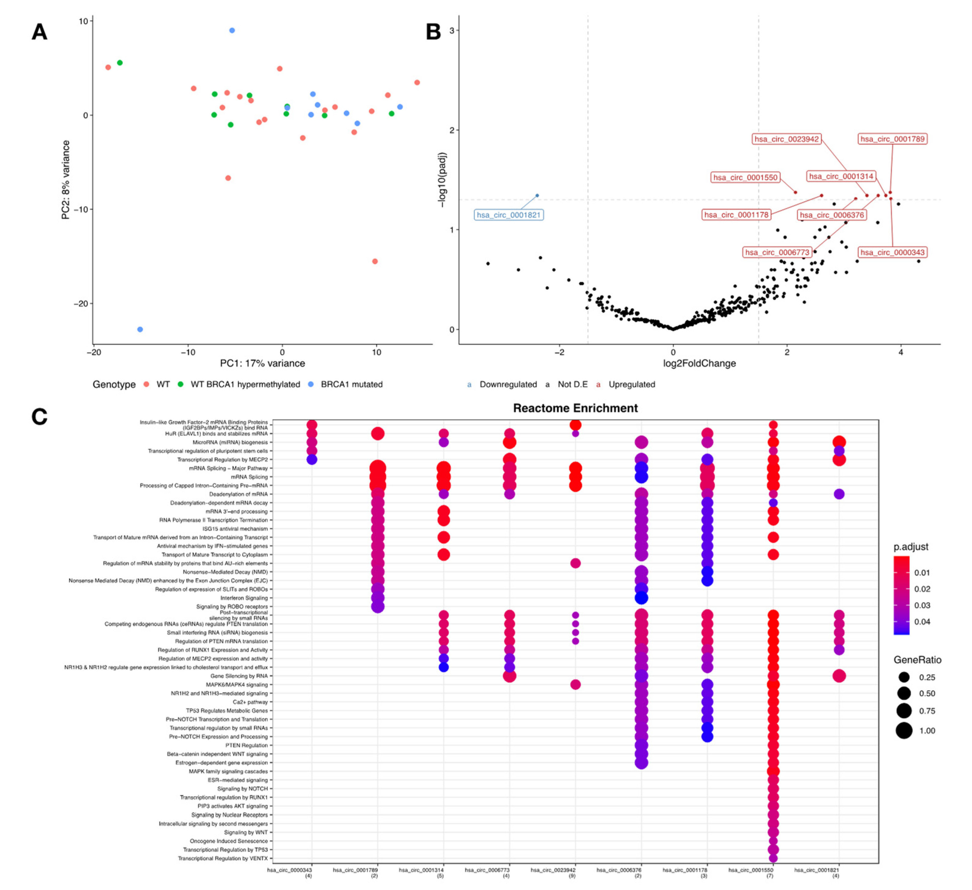 Cancers 14 03280 g004 550