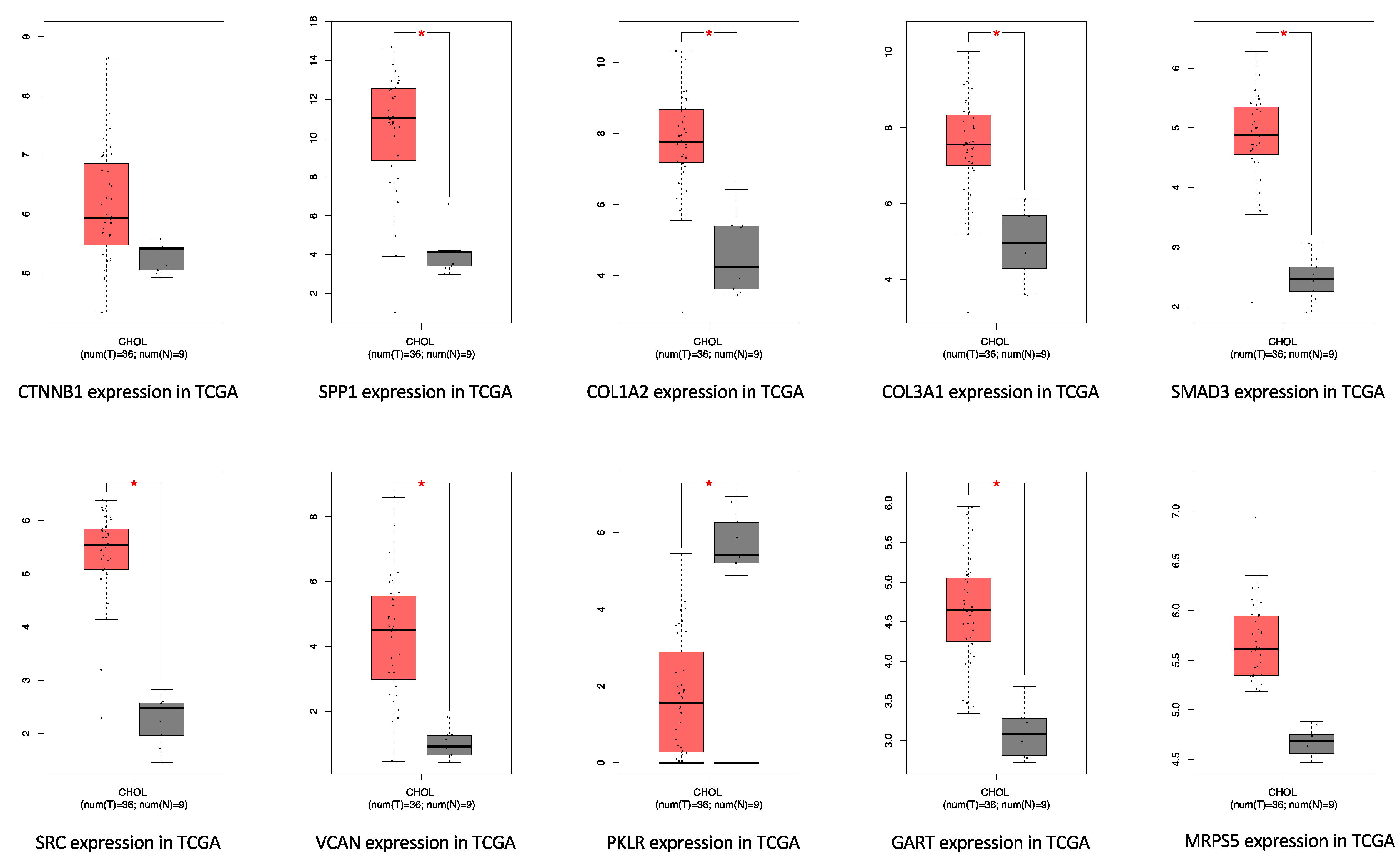 Cancers 14 03284 g006 550