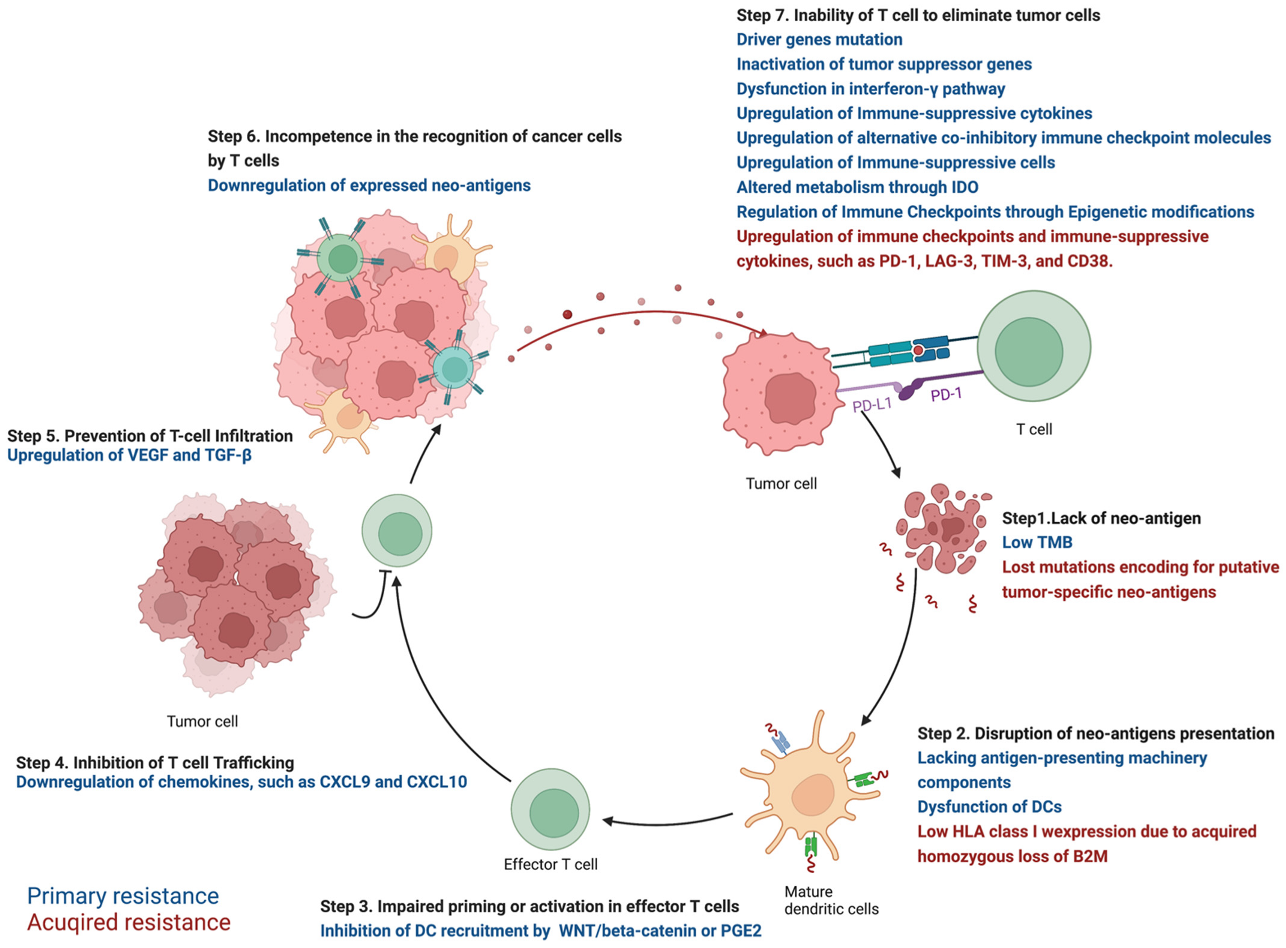 Cancers 14 03294 g001