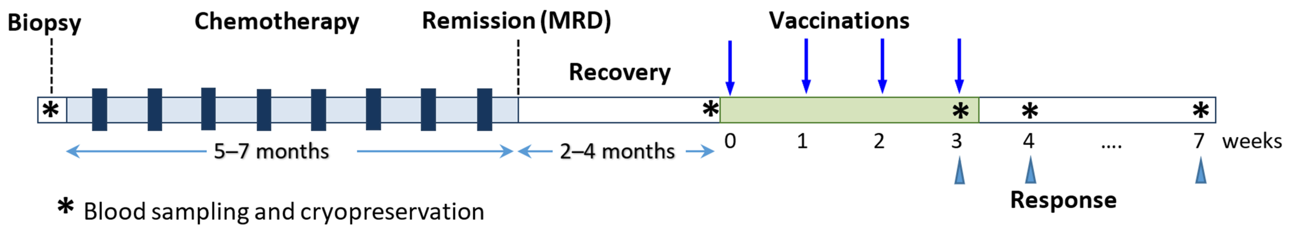 Cancers 14 03298 g002