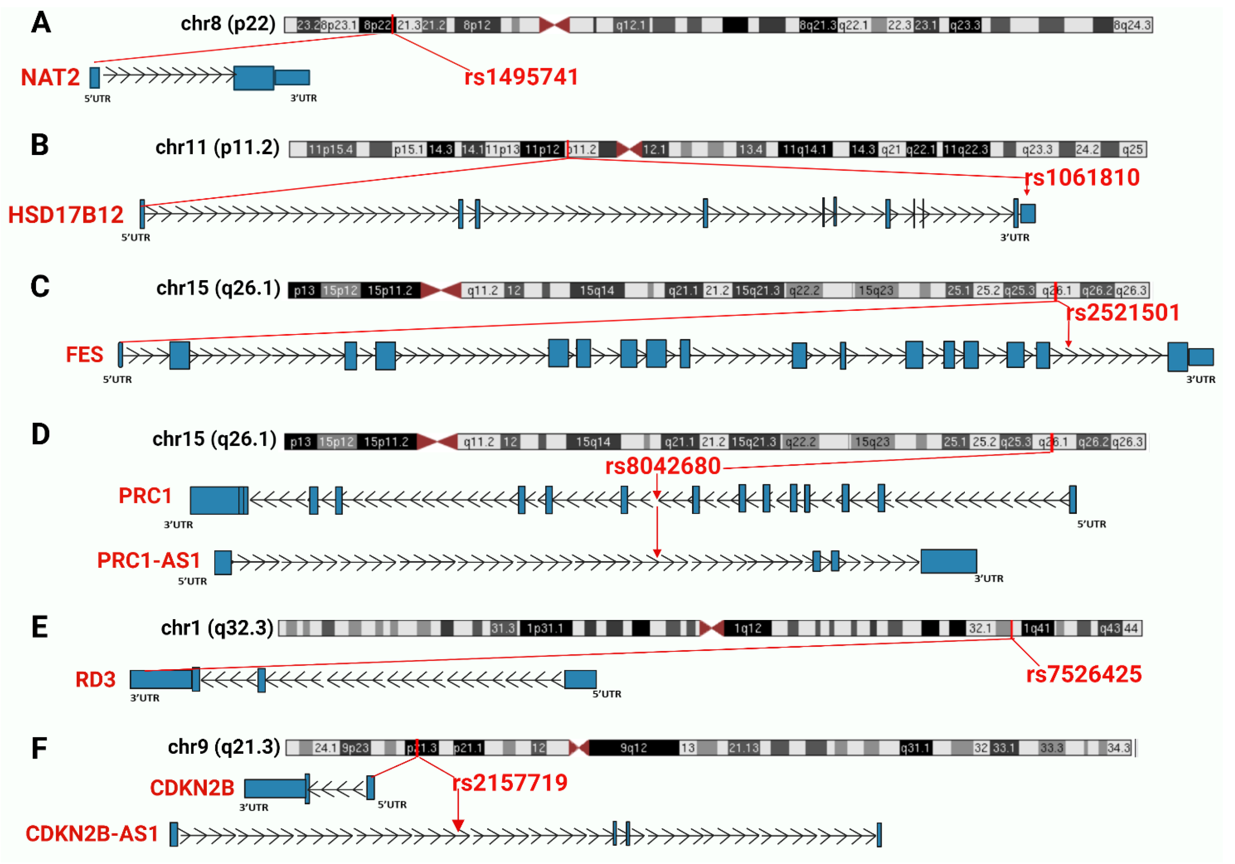 Cancers 14 03313 g003 Cancers 14 03313 g003