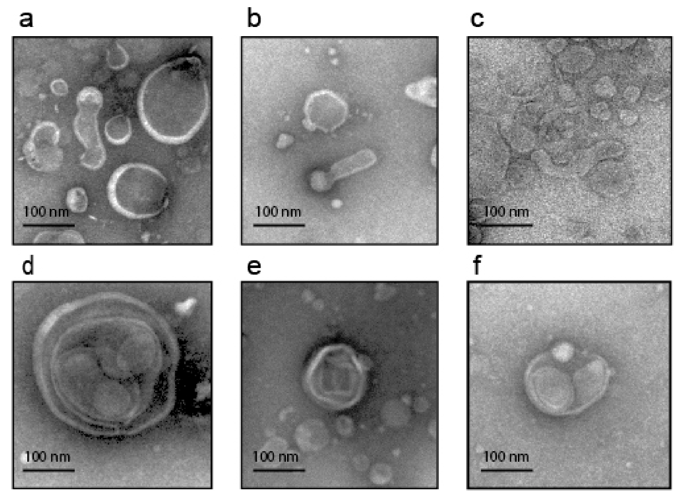 Cancers 14 03314 g003