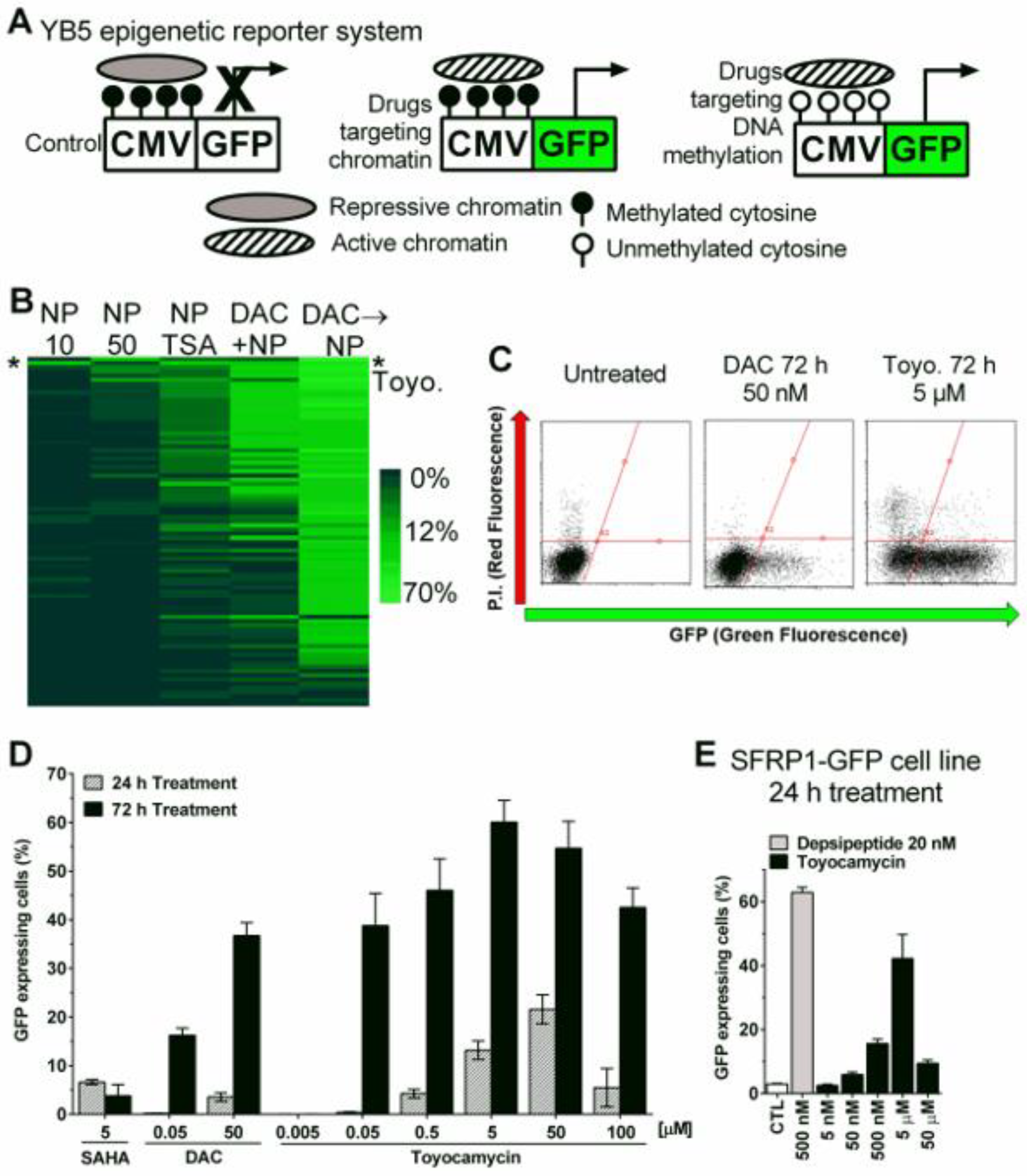 Cancers 14 03340 g001 Cancers 14 03340 g001
