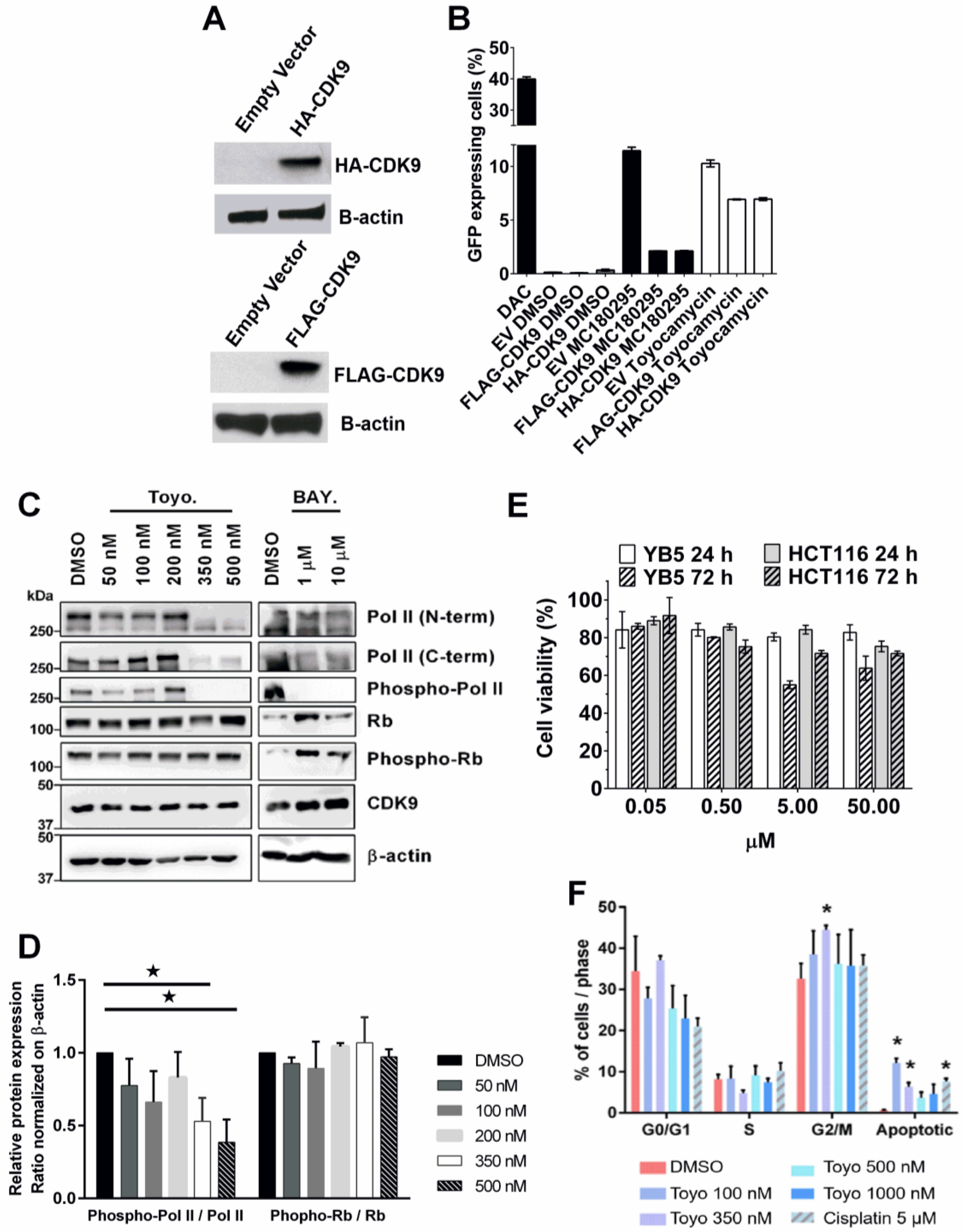 Cancers 14 03340 g004 Cancers 14 03340 g004
