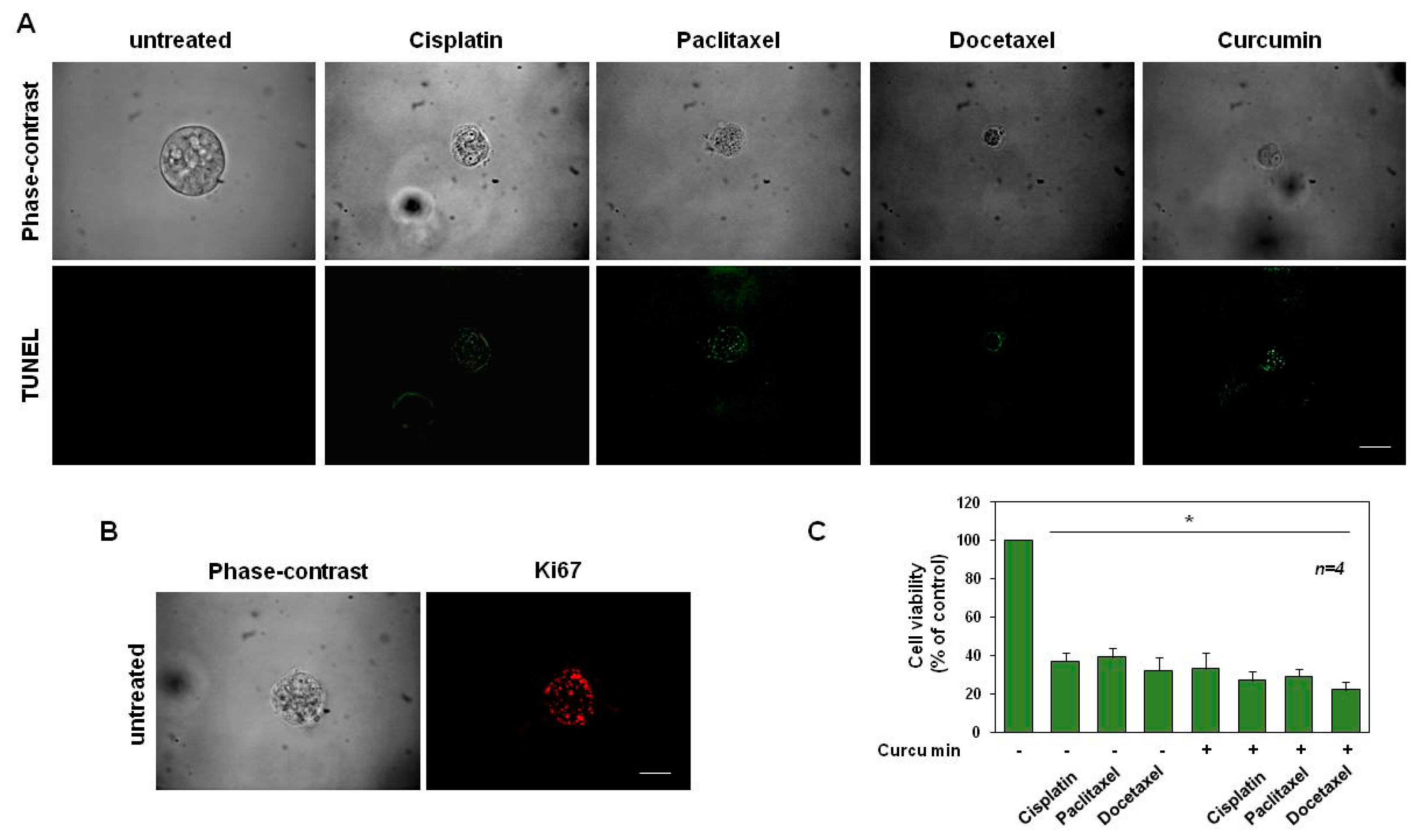 Cancers 14 03348 g008