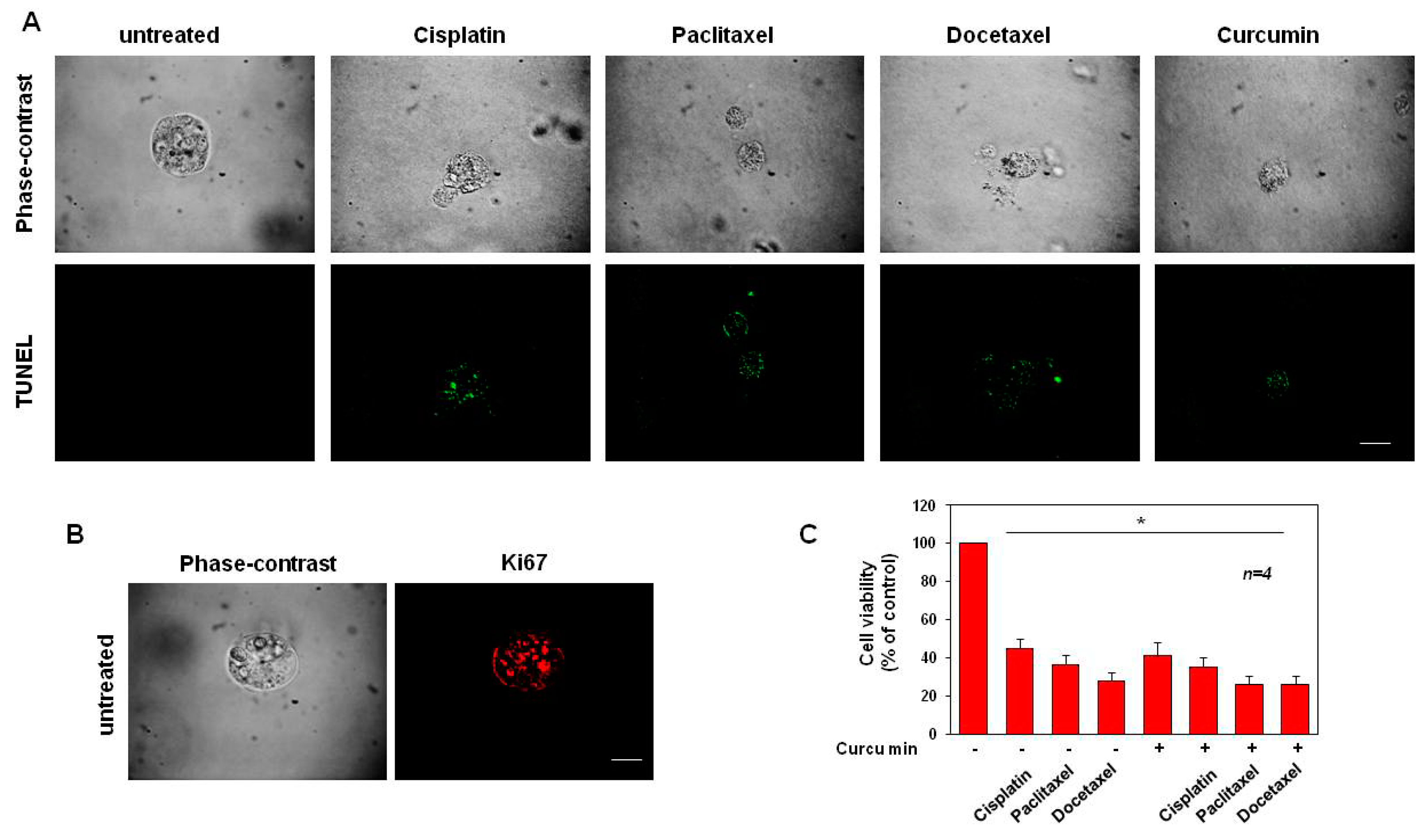 Cancers 14 03348 g009