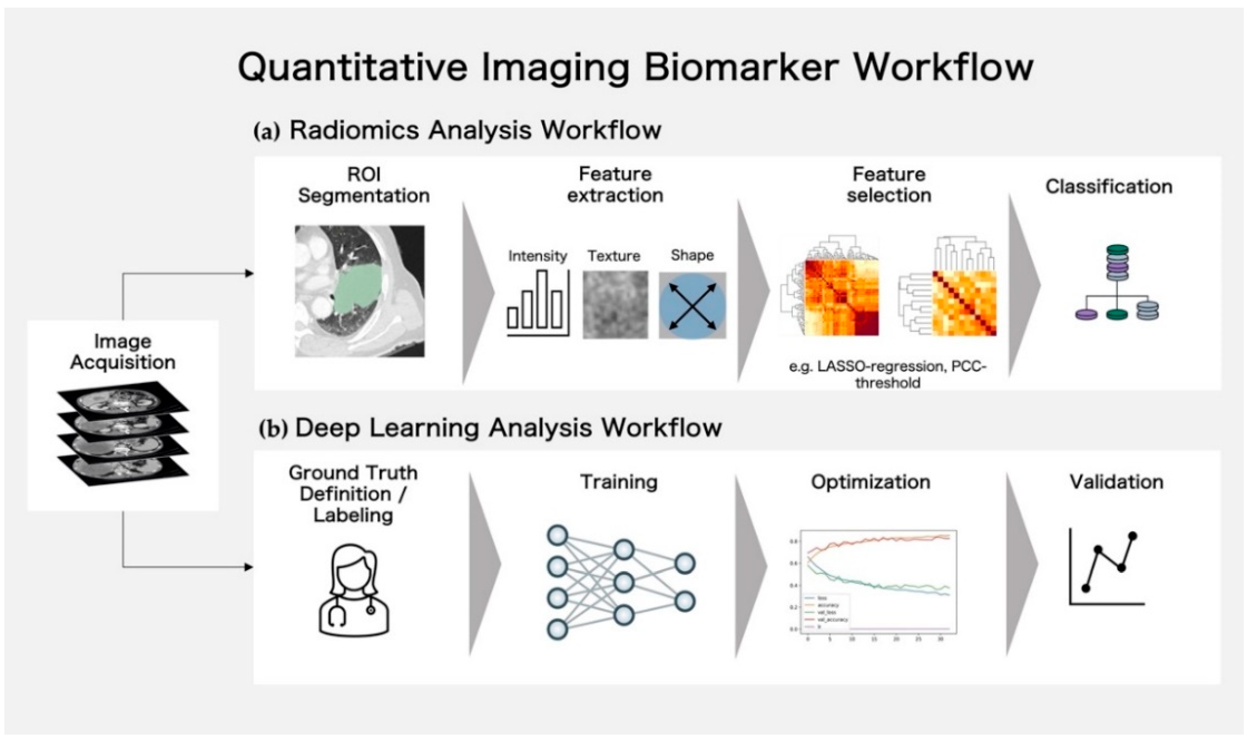 Cancers 14 03349 g002