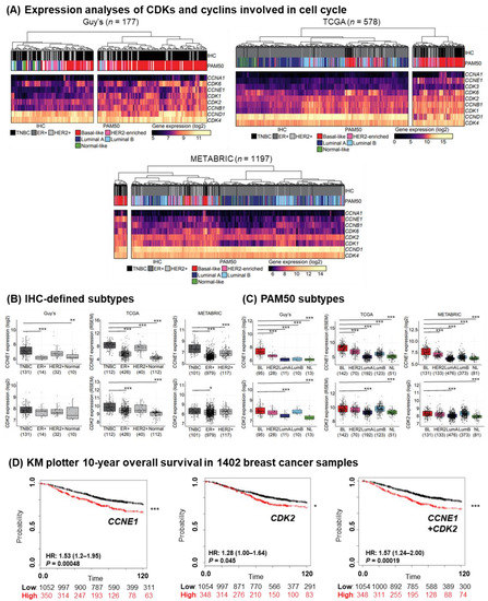CDK Inhibition Primes for Anti-PD-L1 Treatment in Triple-Negative