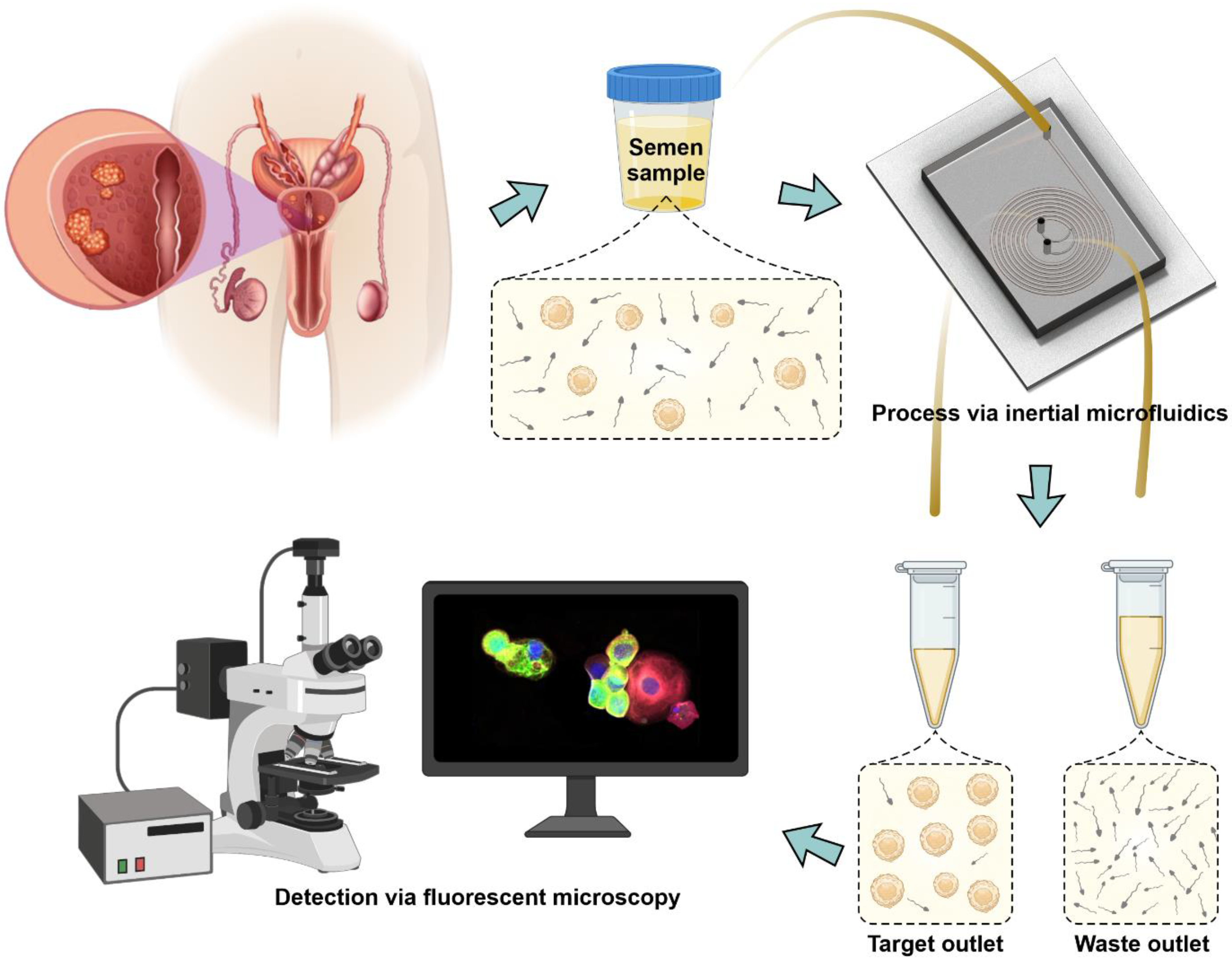 Cancers 14 03364 g001 Cancers 14 03364 g001