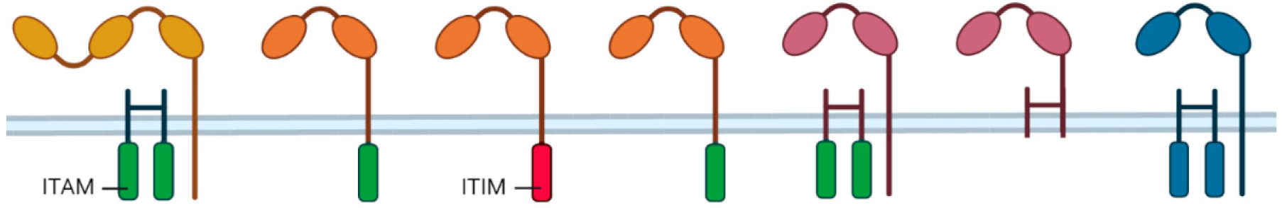 Cancers 14 03366 i001